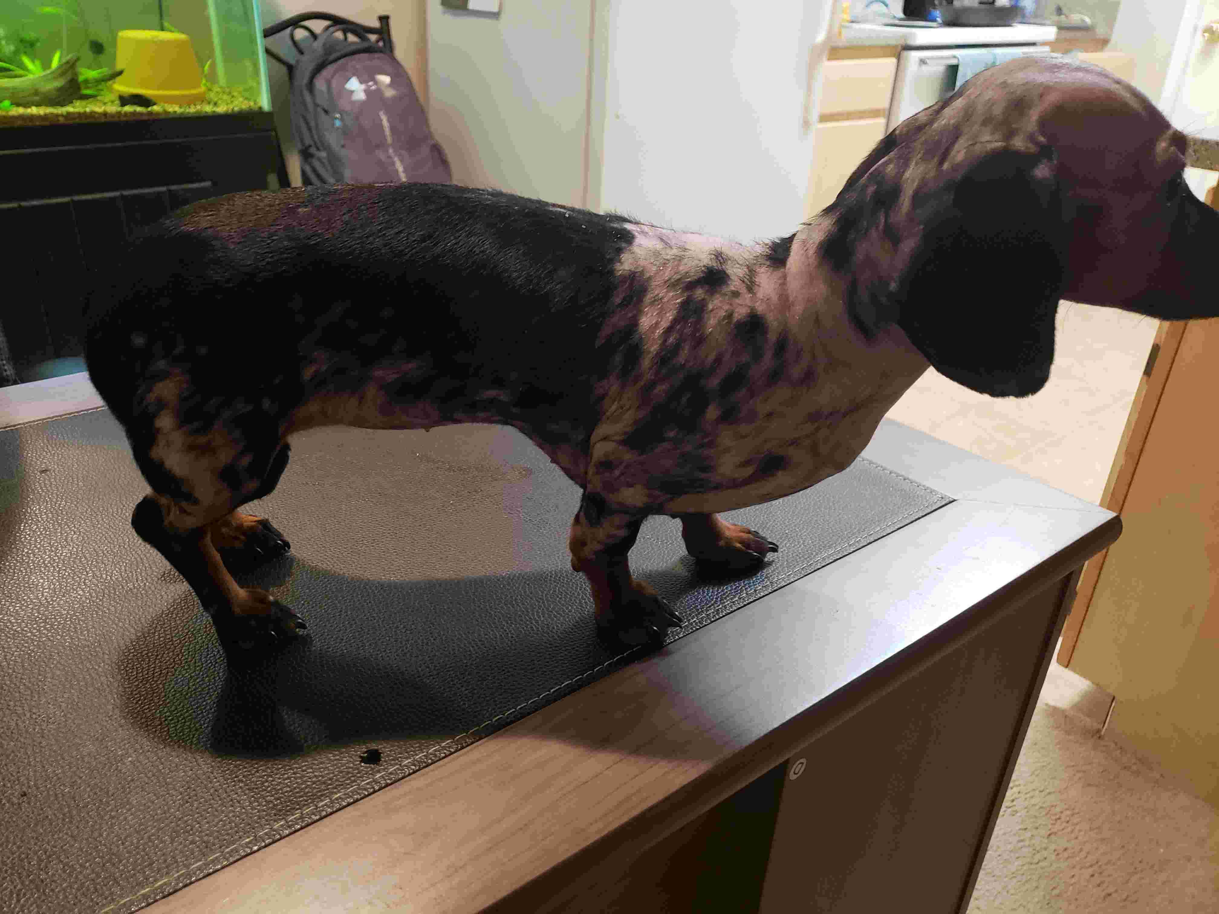 Question details sensitive content