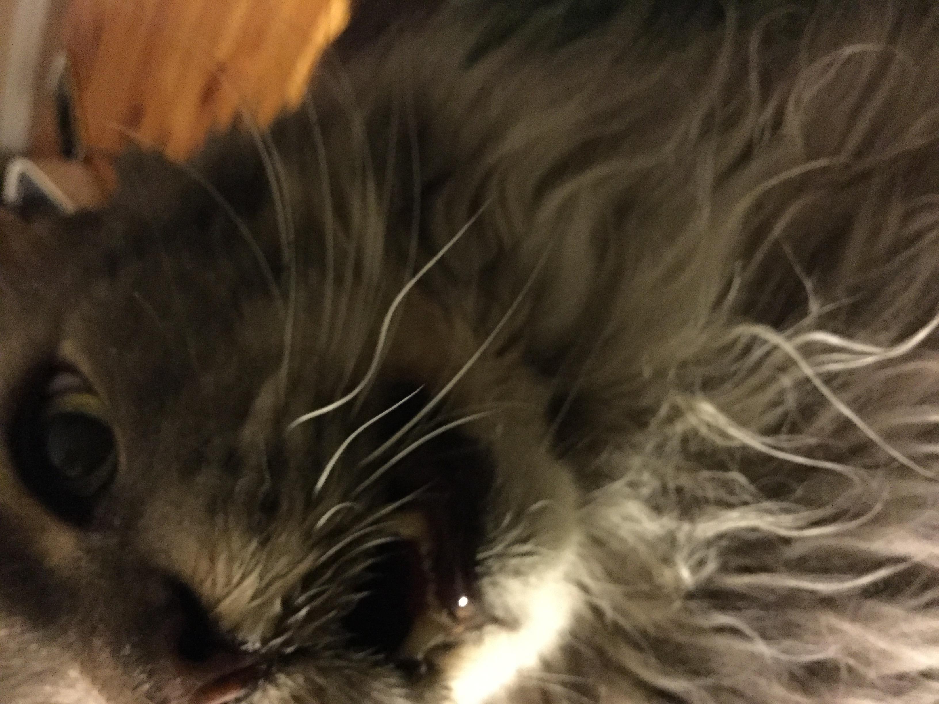 Question details sensitive content