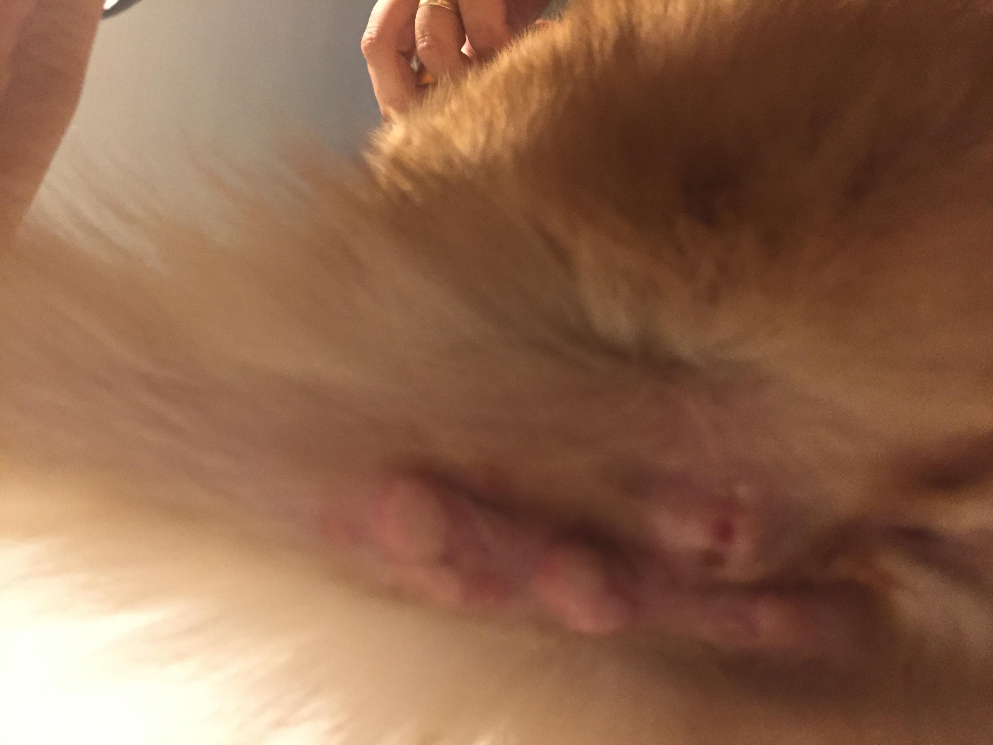 Question details sensitive content