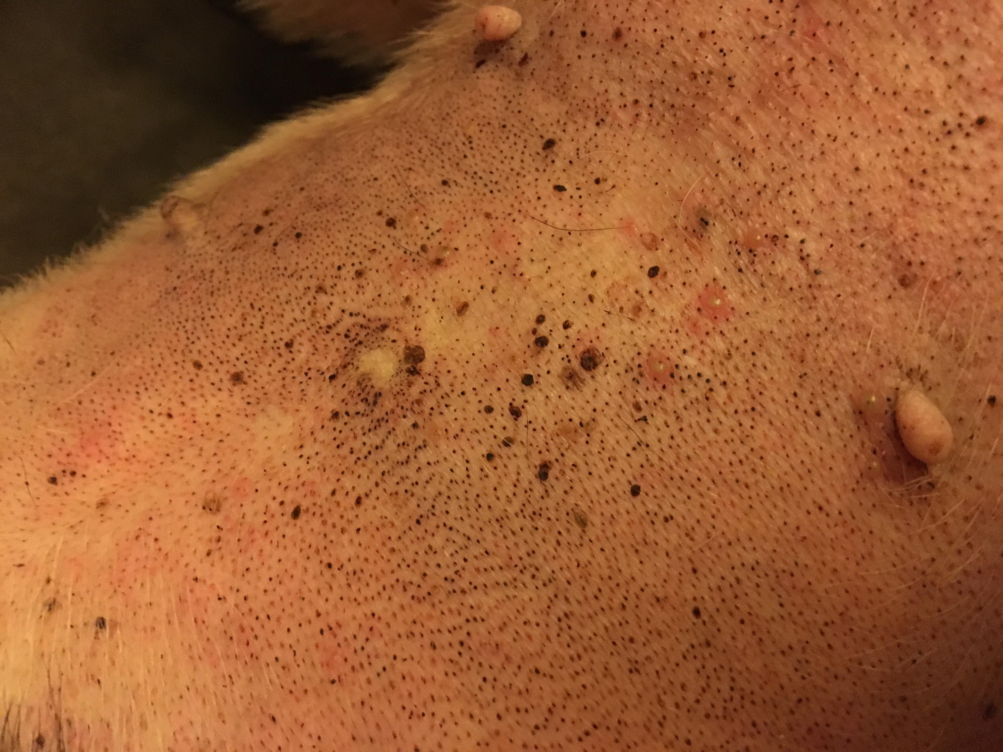 Question details sensitive content