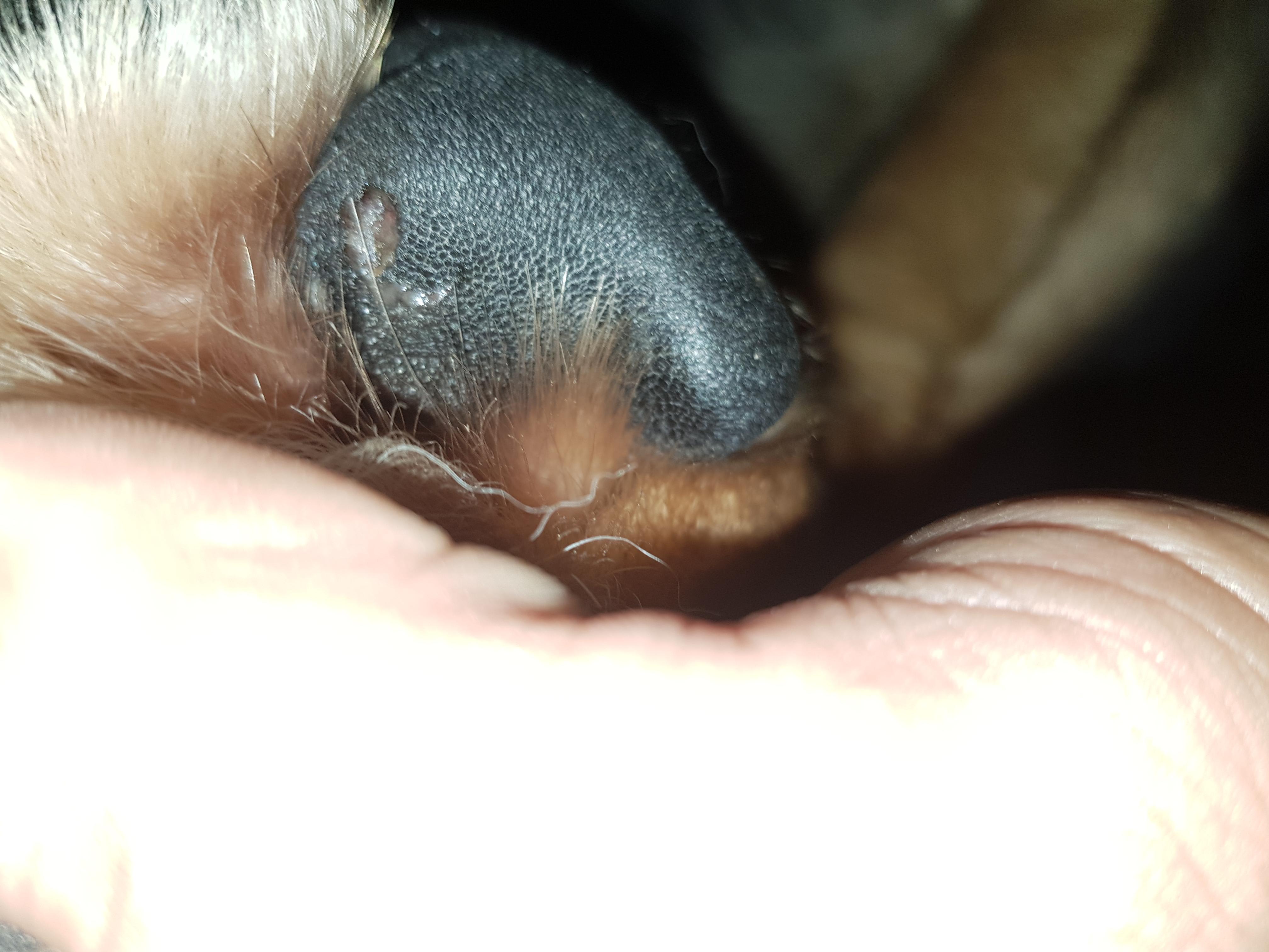 Question details sensitive content