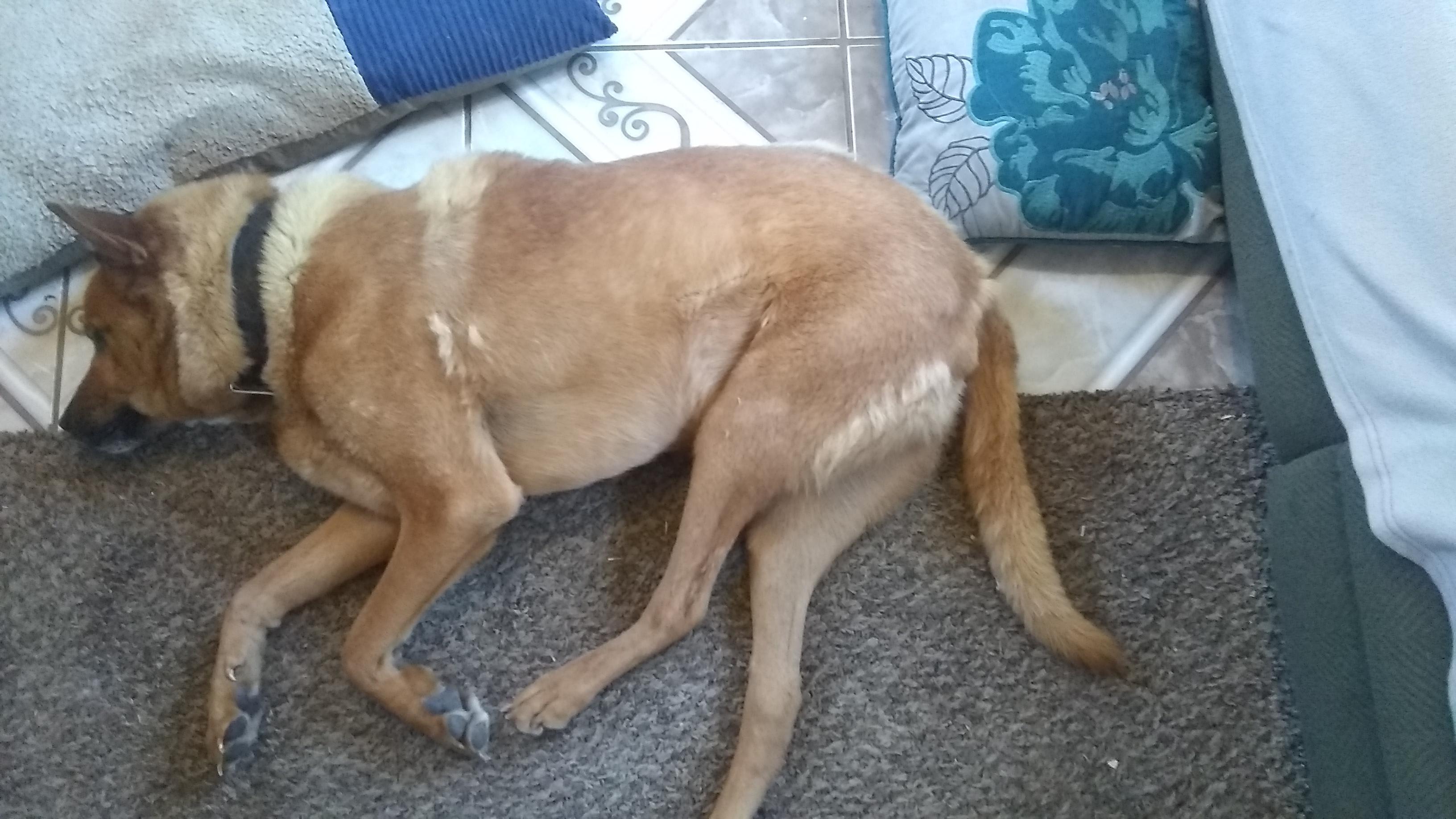 Question details sensitive content