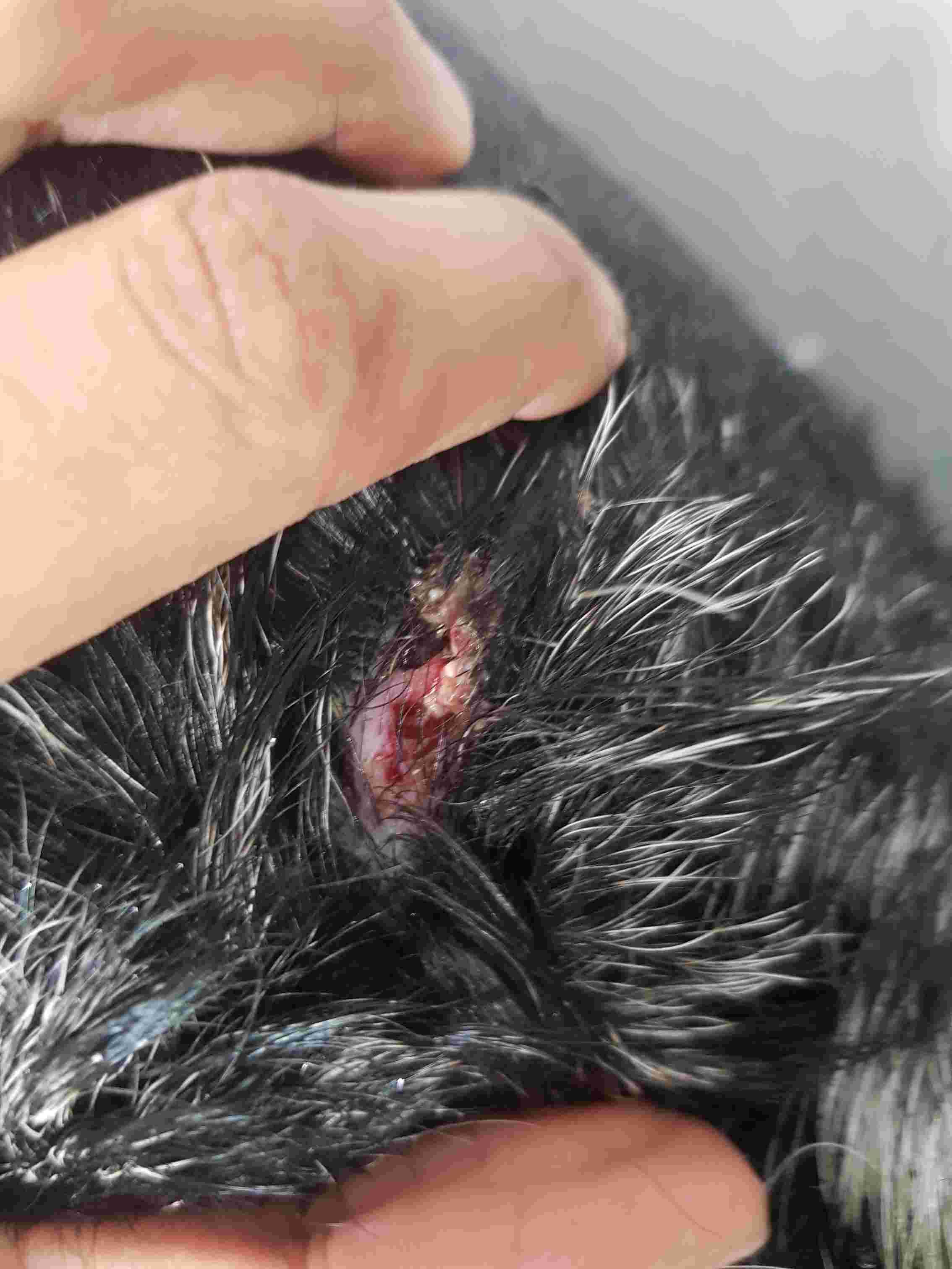 Question details sensitive content