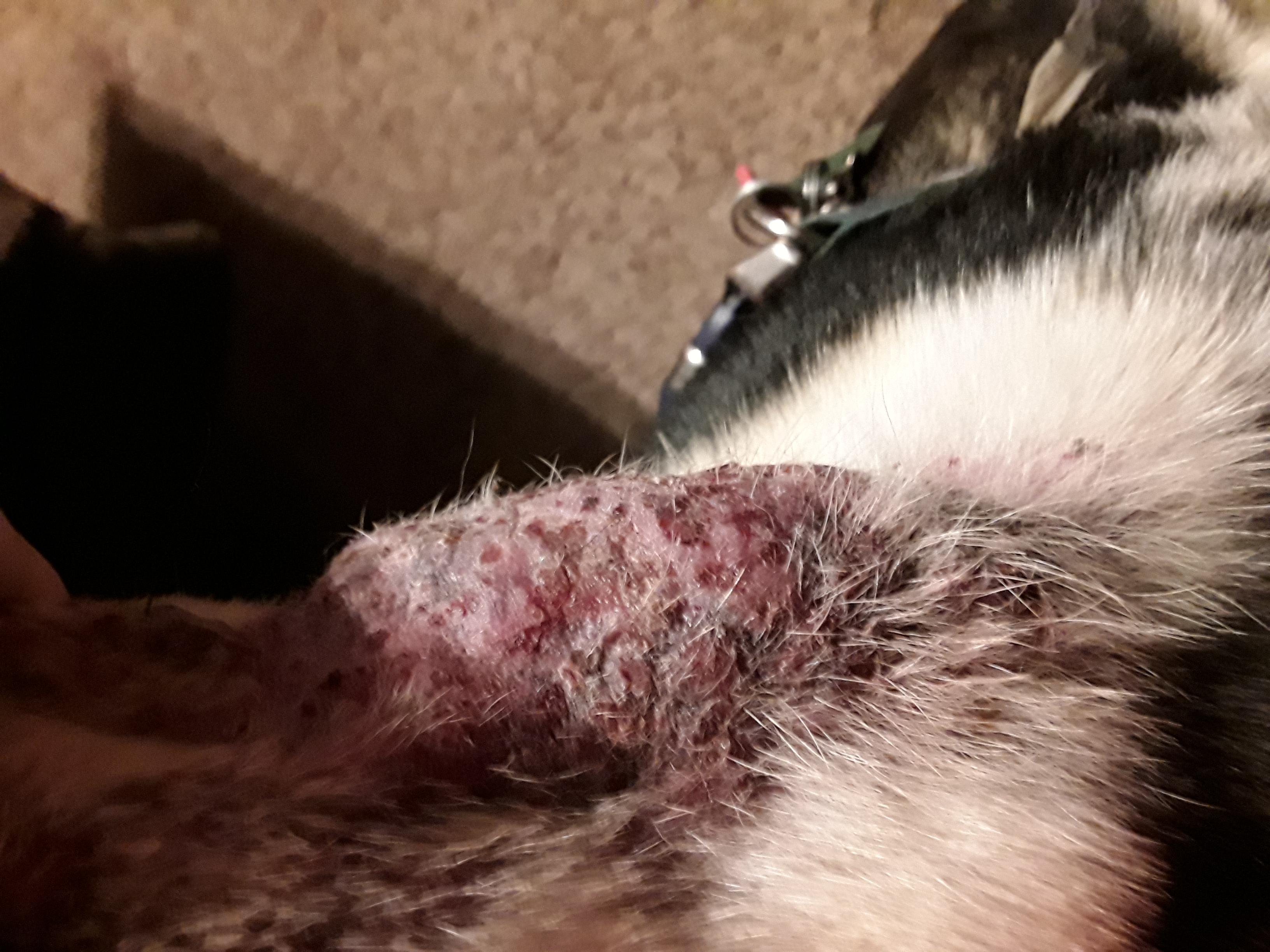 Question details sensitive content