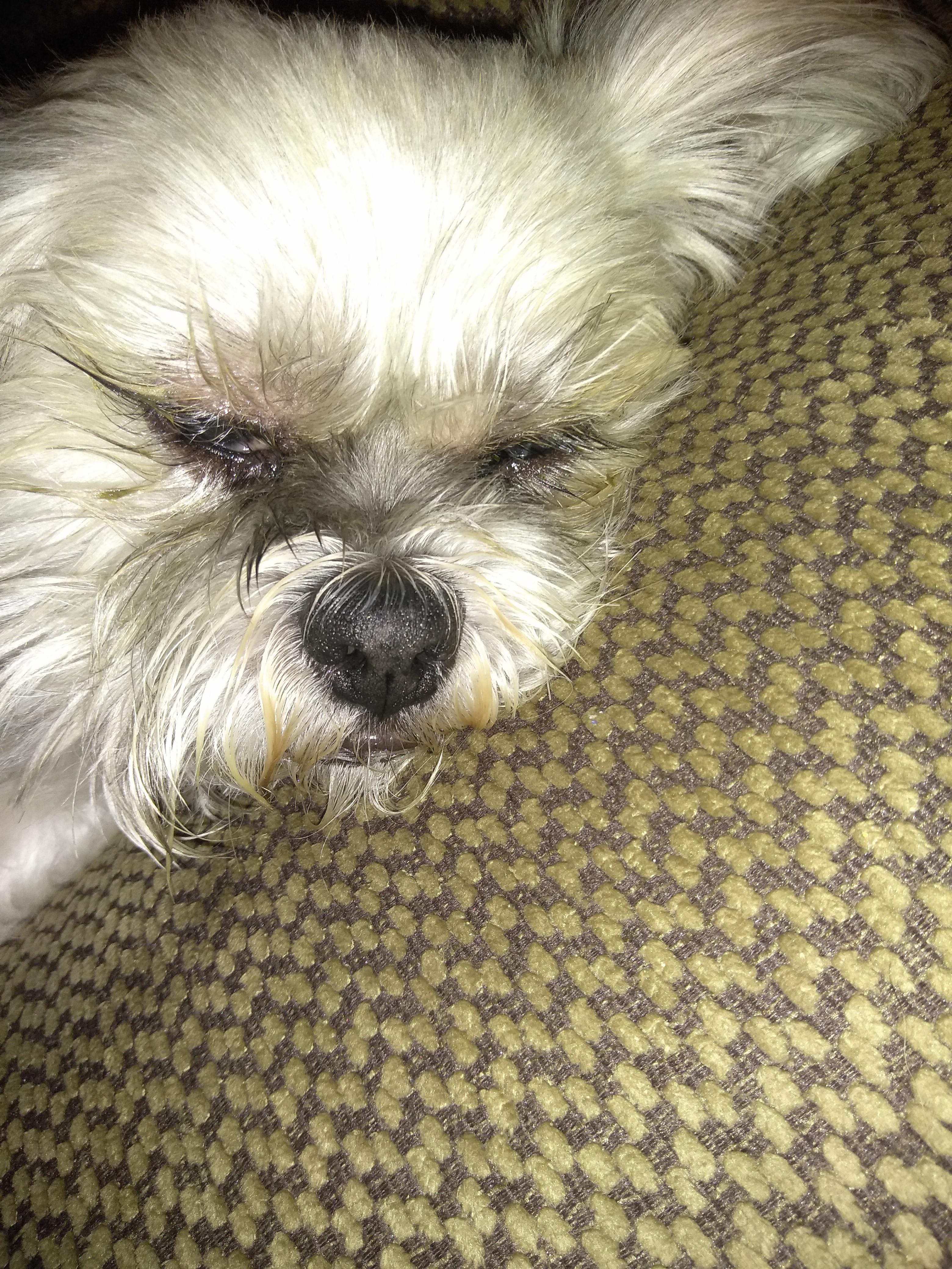 Question details sensitive content