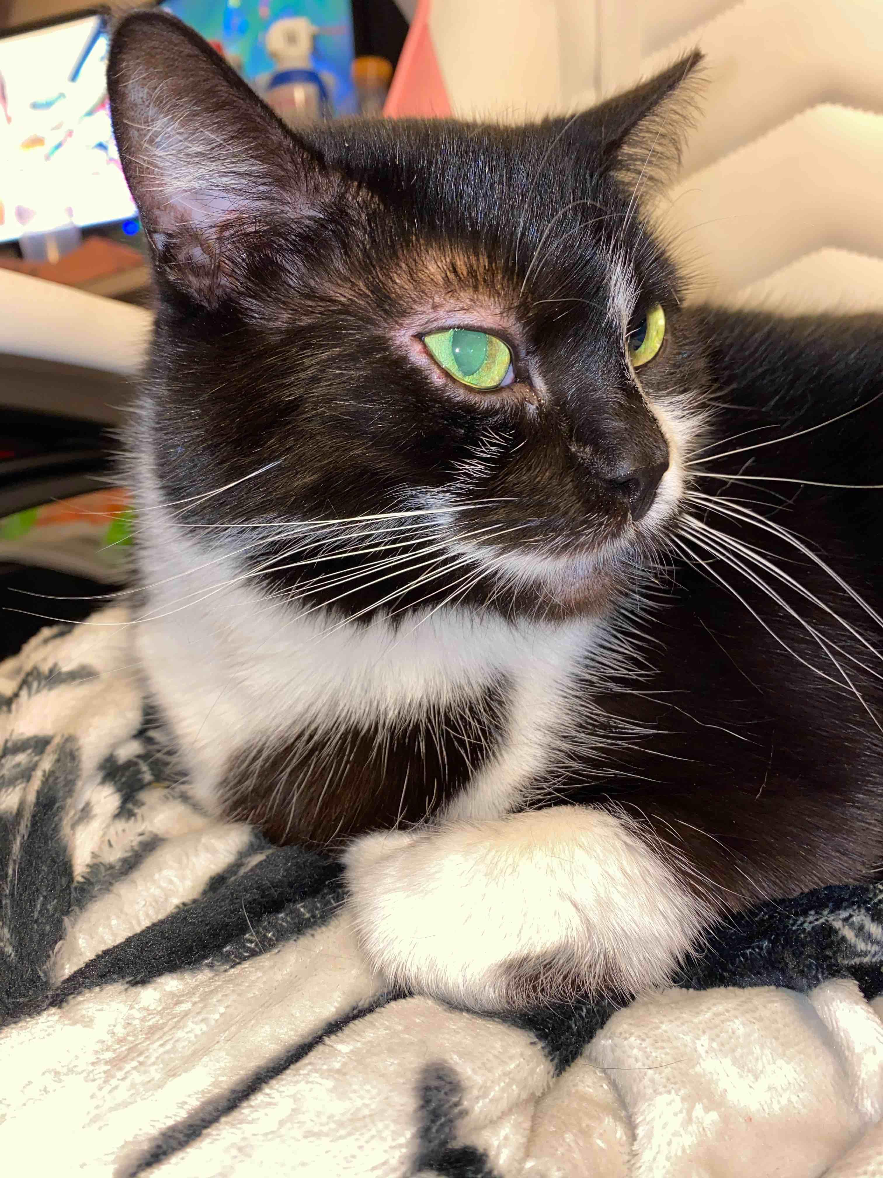 Question details sensitive content