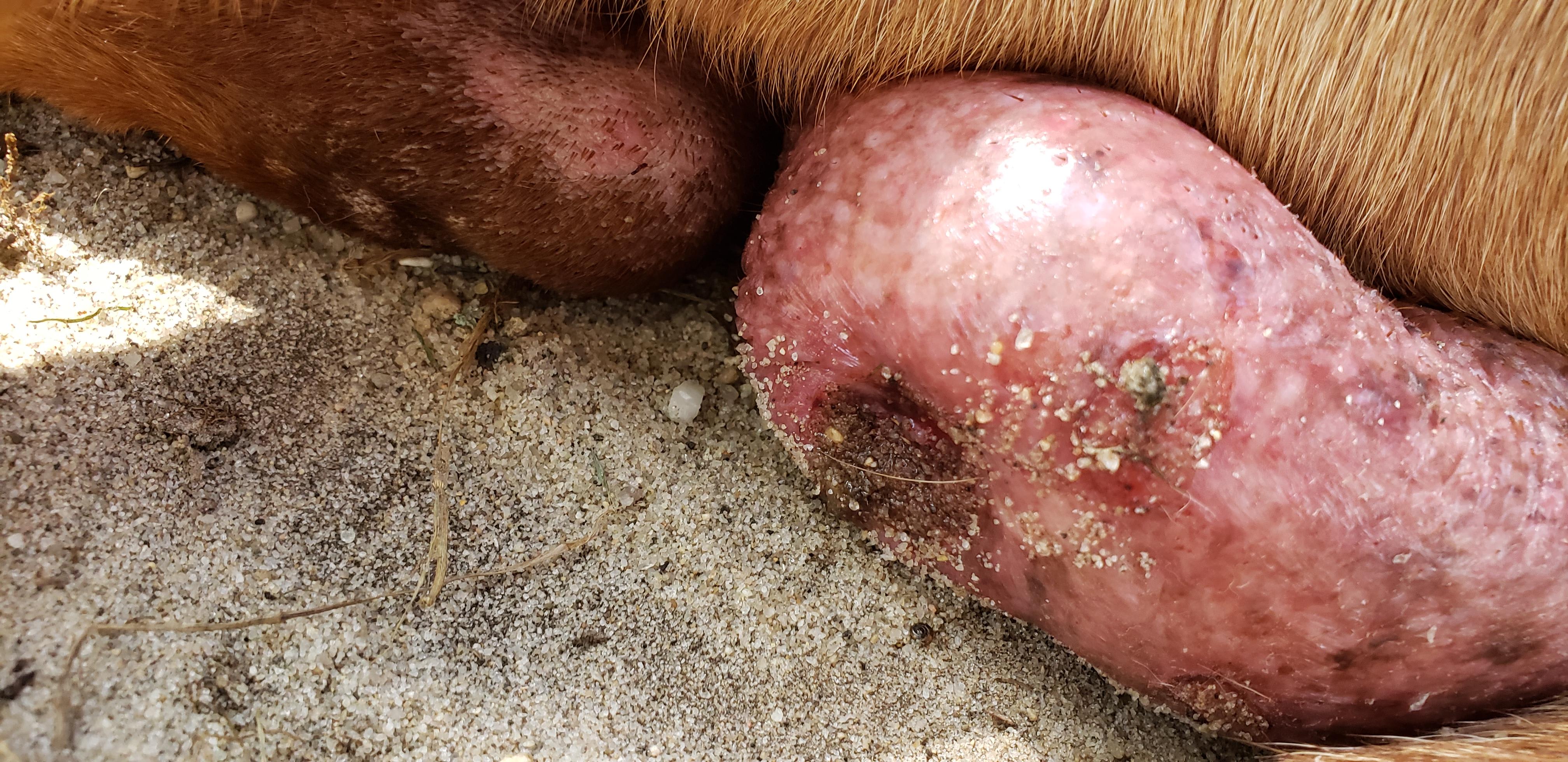 Question details sensitive content