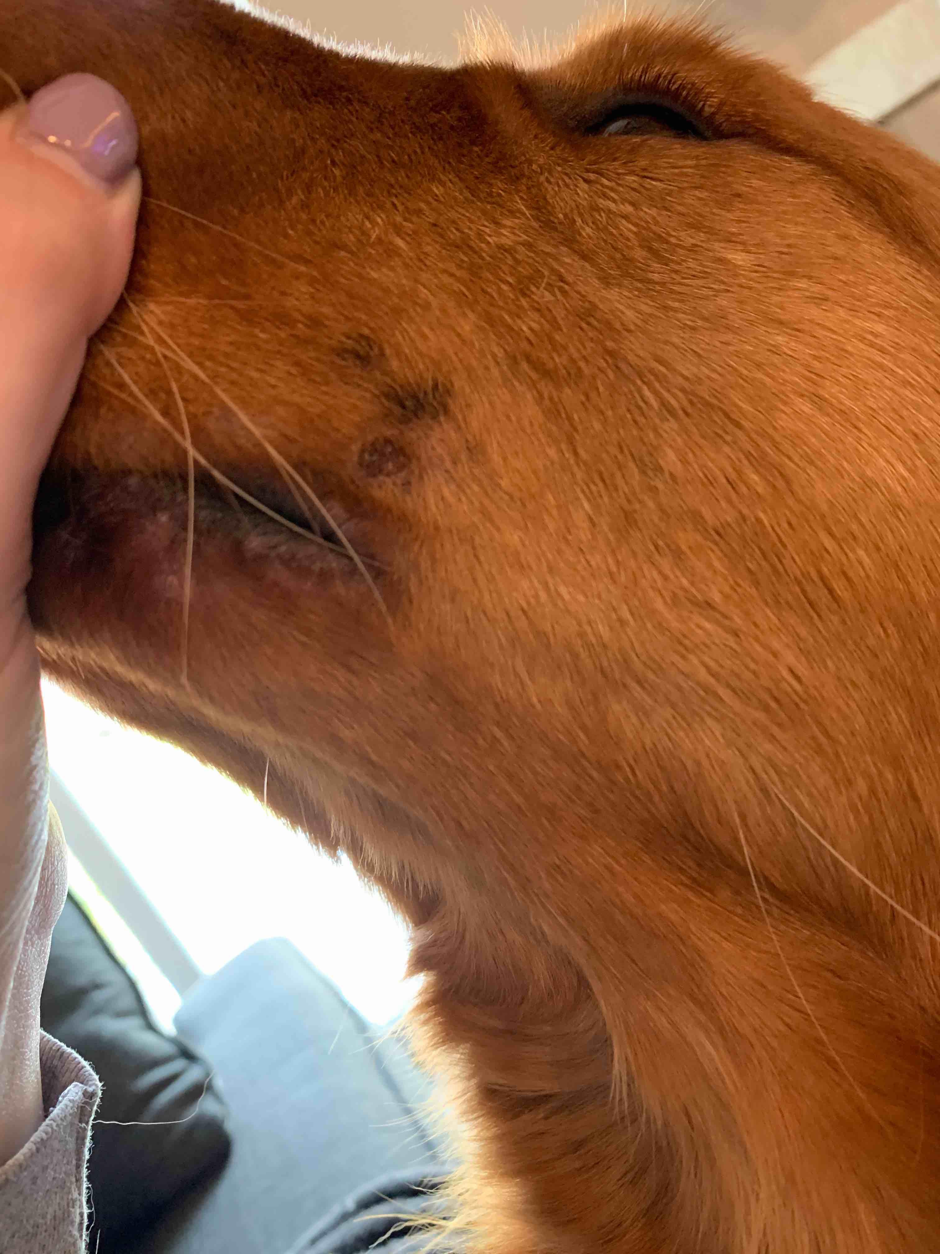 Question details sensitive content