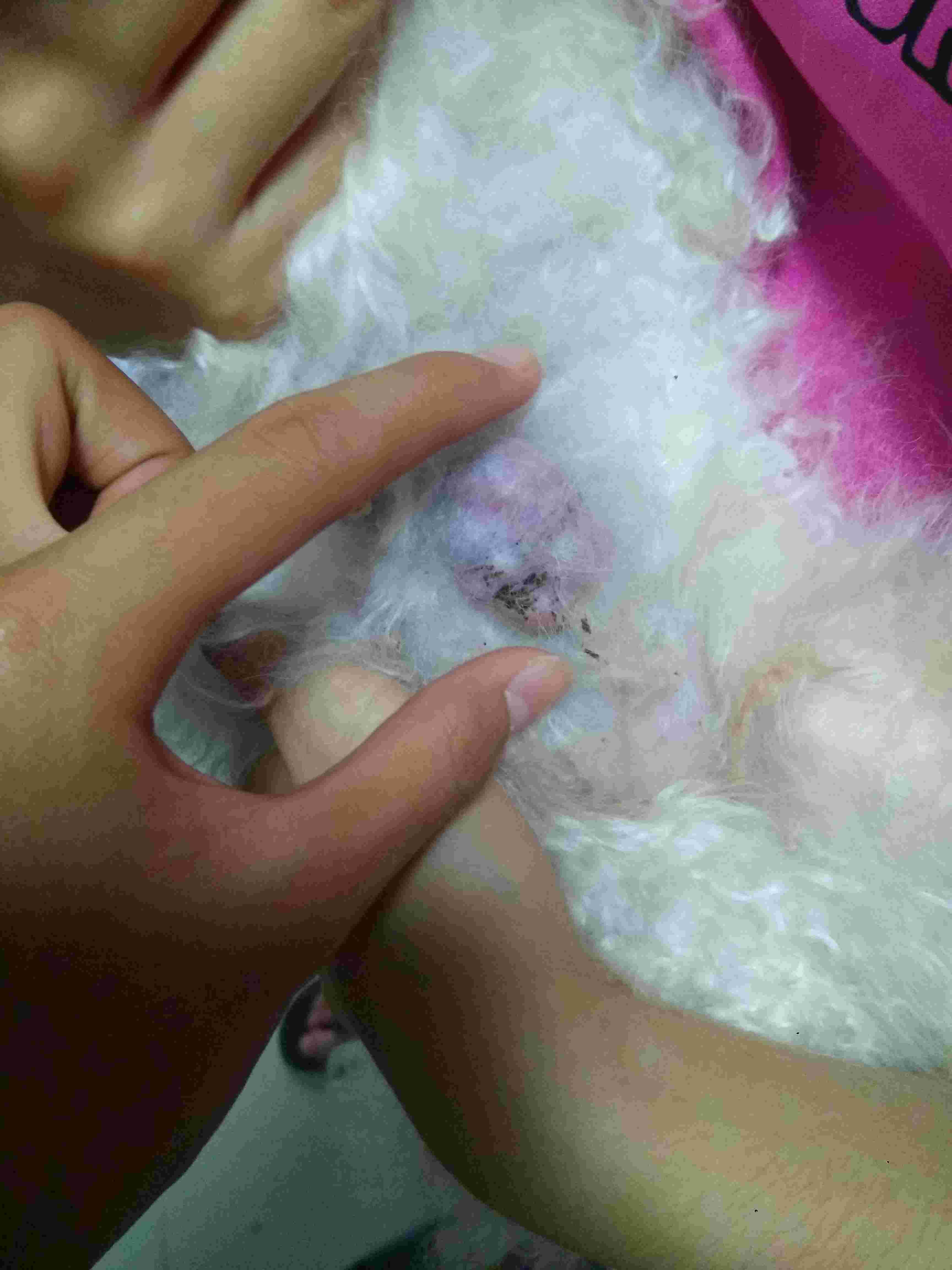 Question details sensitive content