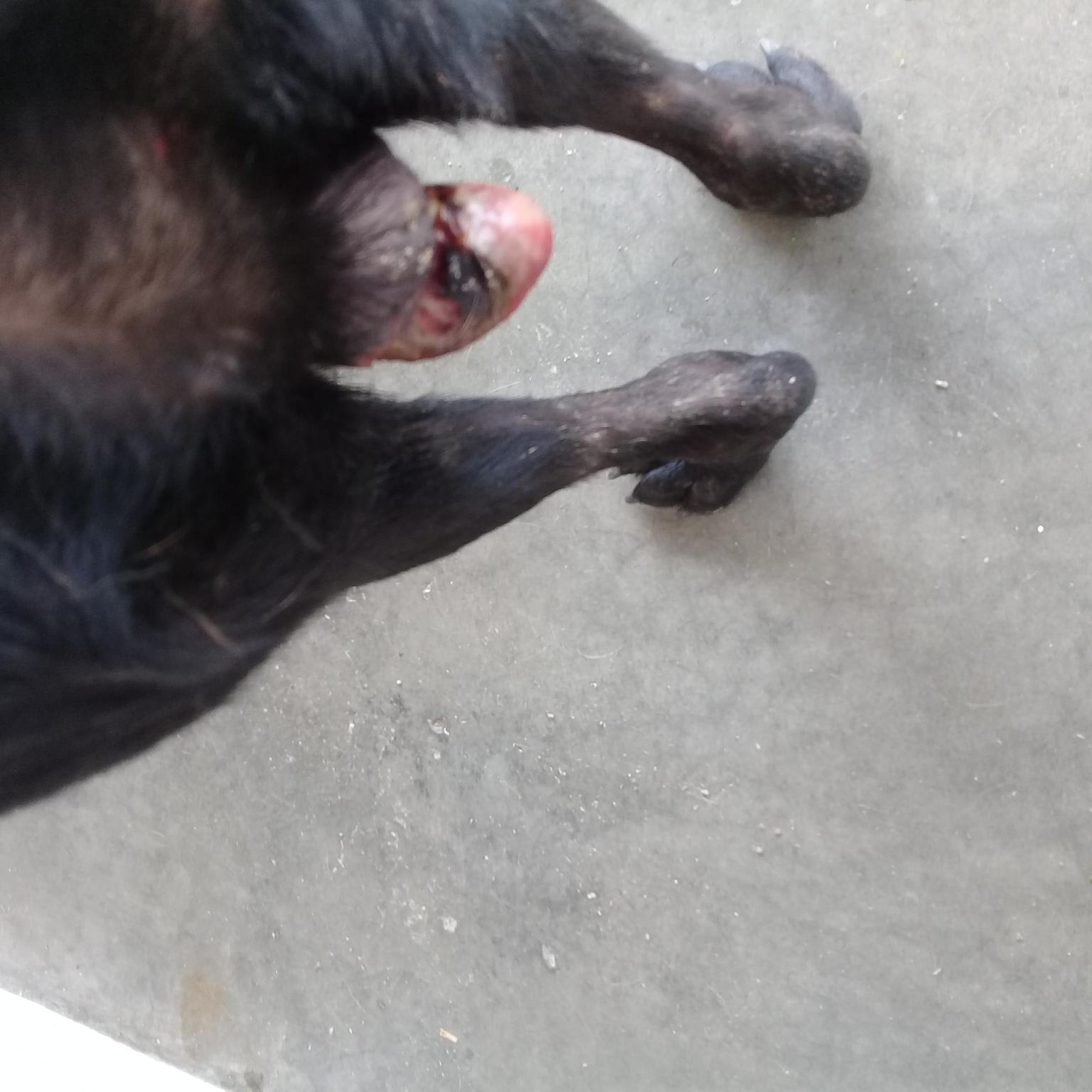 Question details sensitive content