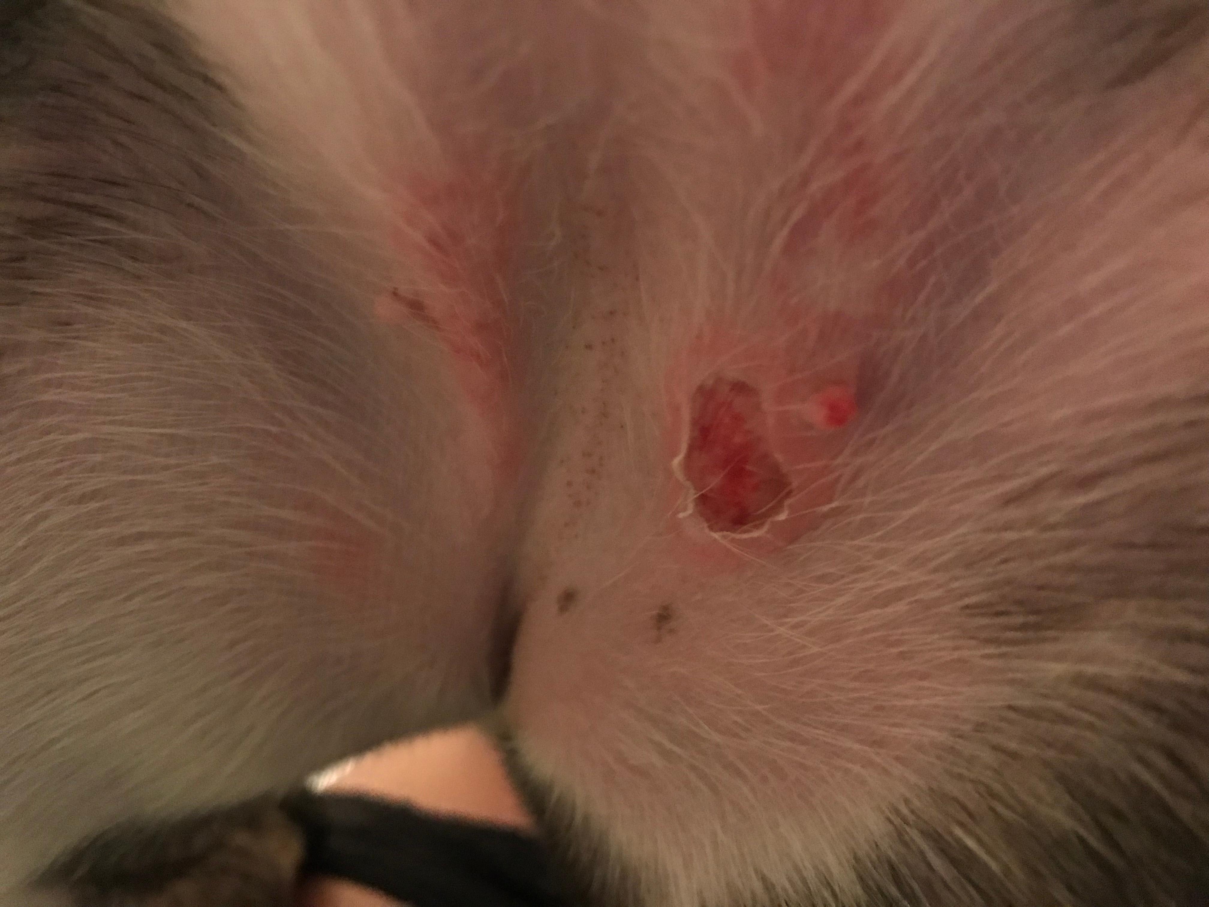 Question details sensitive content