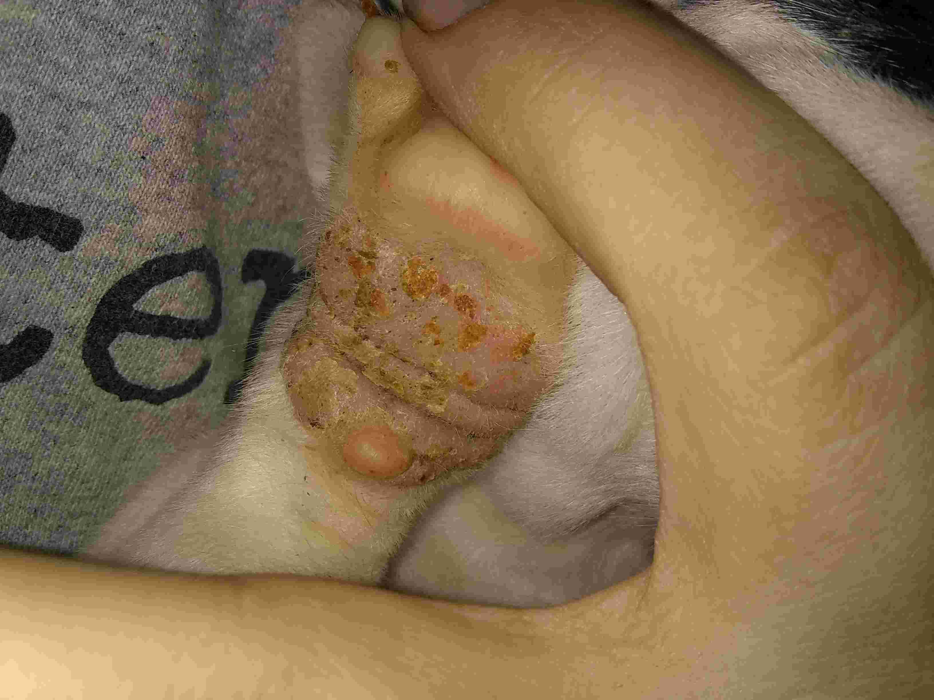 Question details sensitive content