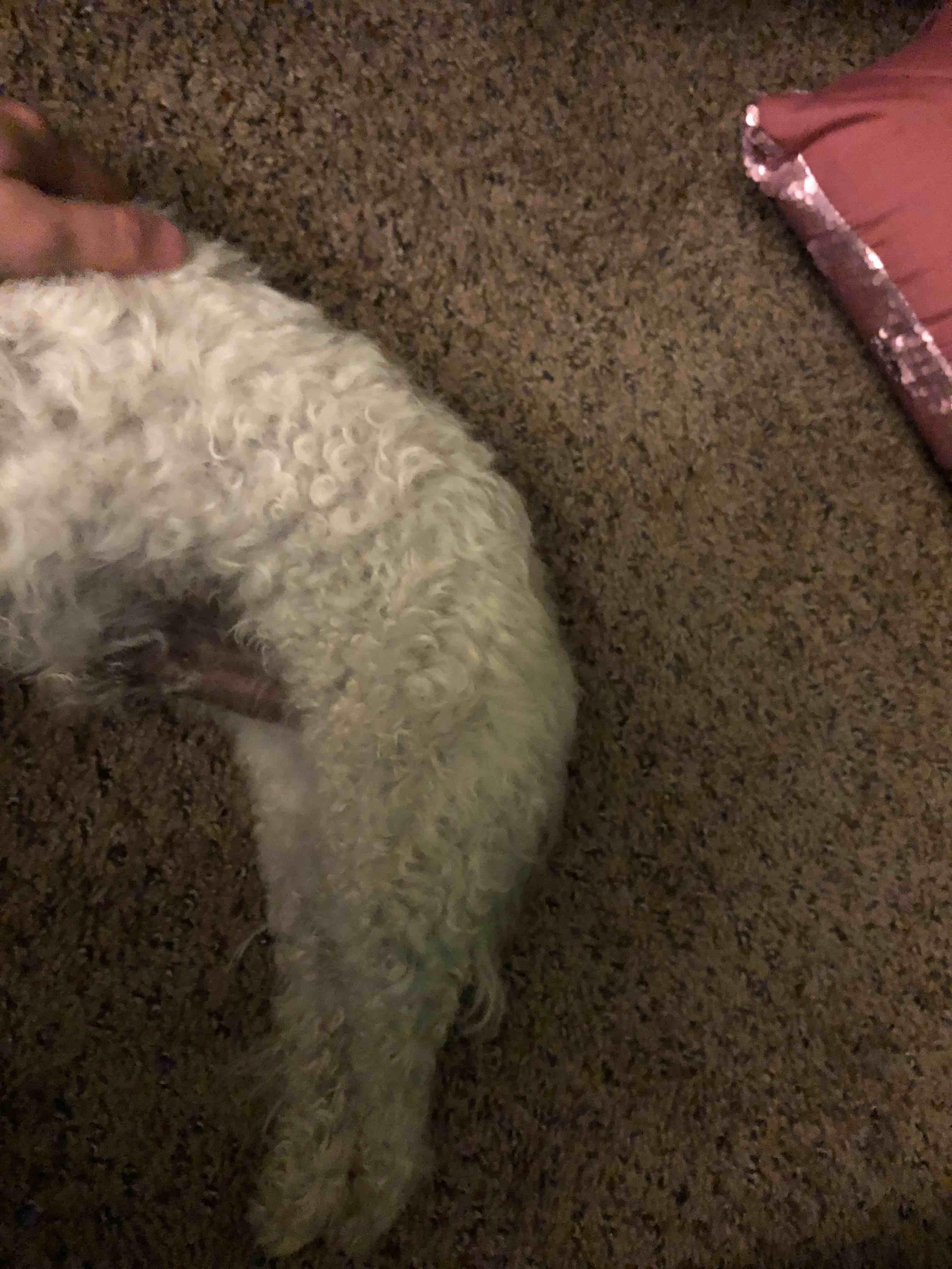 Question details sensitive content