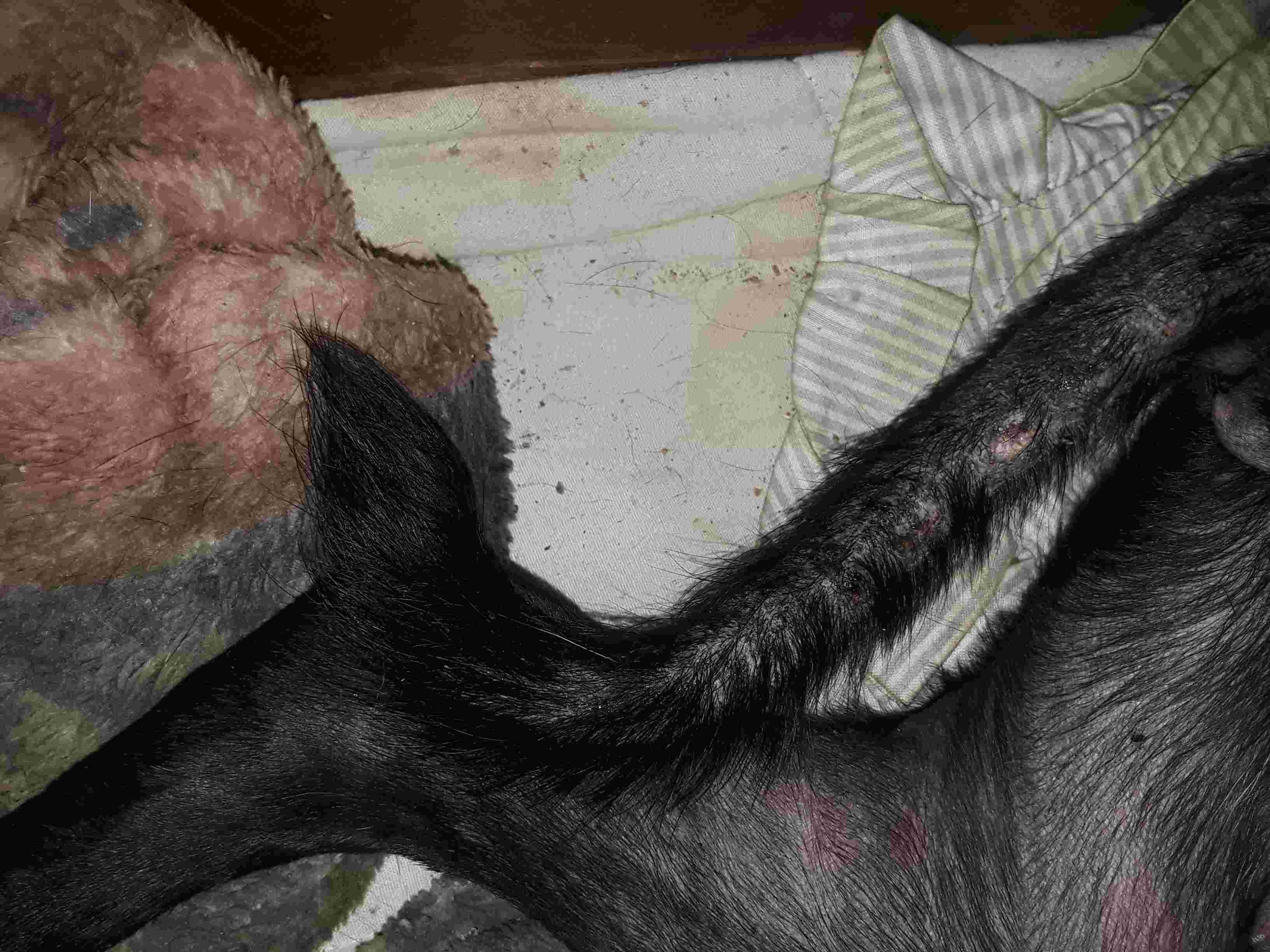 Question details sensitive content