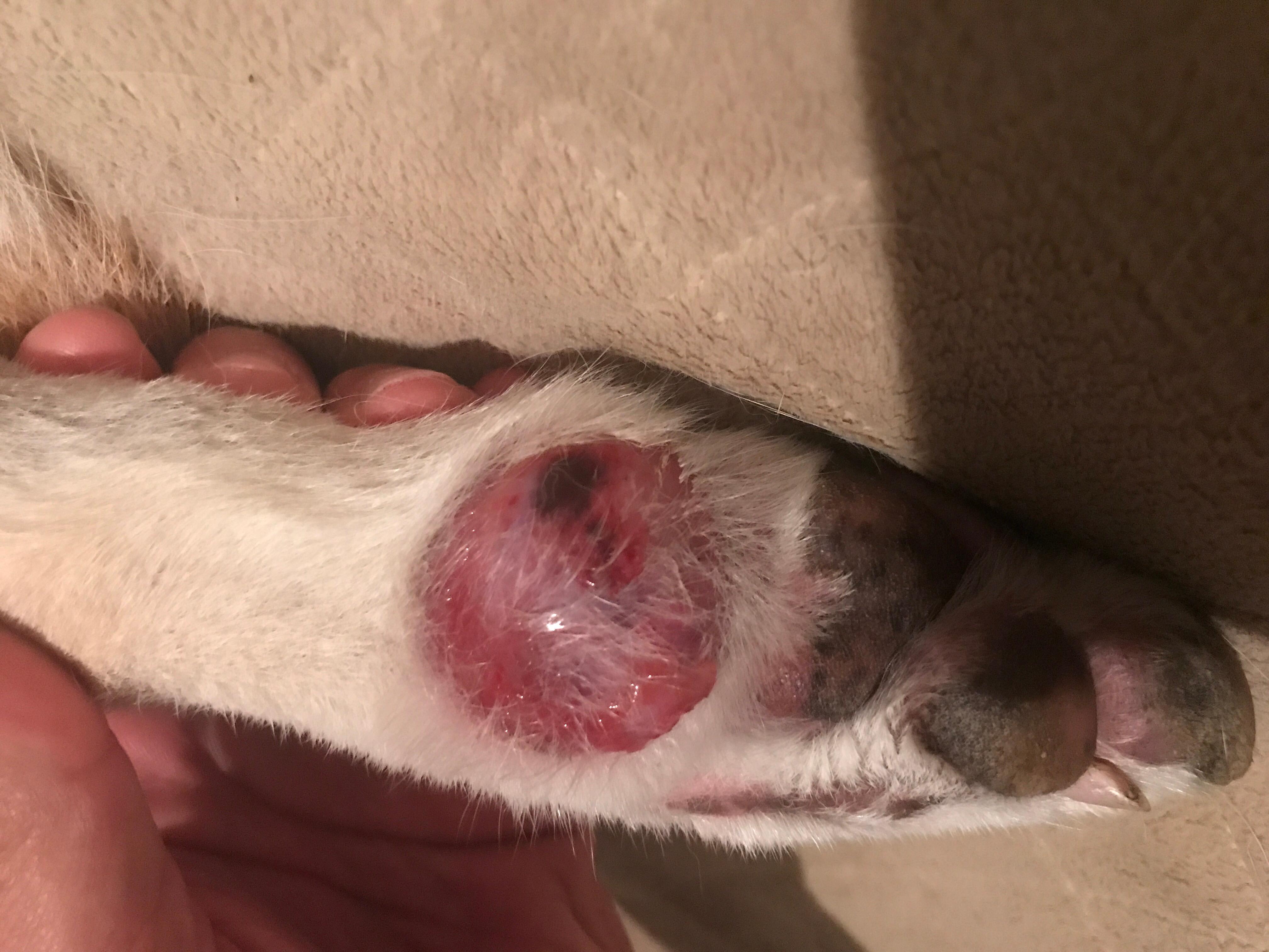 Question details sensitive content