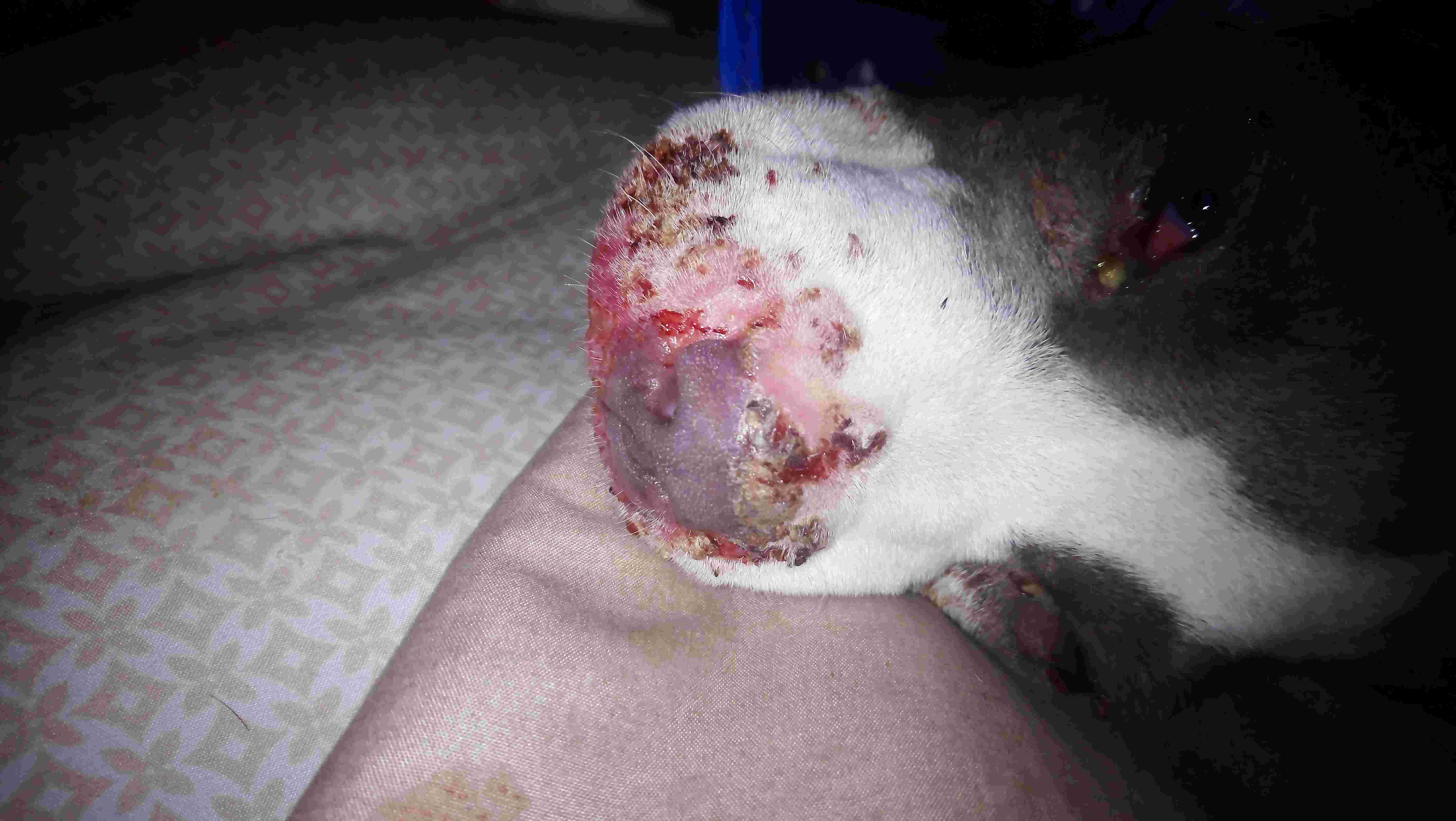 Question details sensitive content