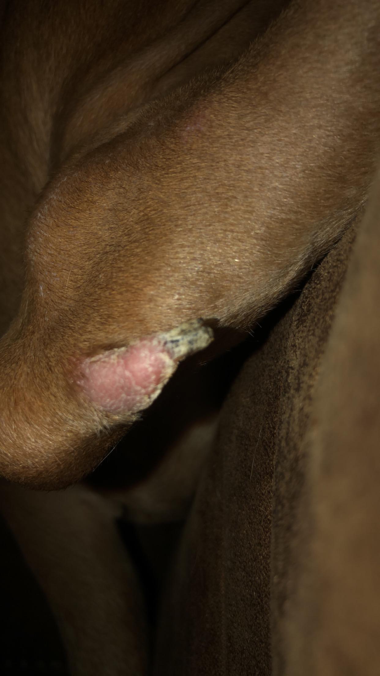 Question details sensitive content