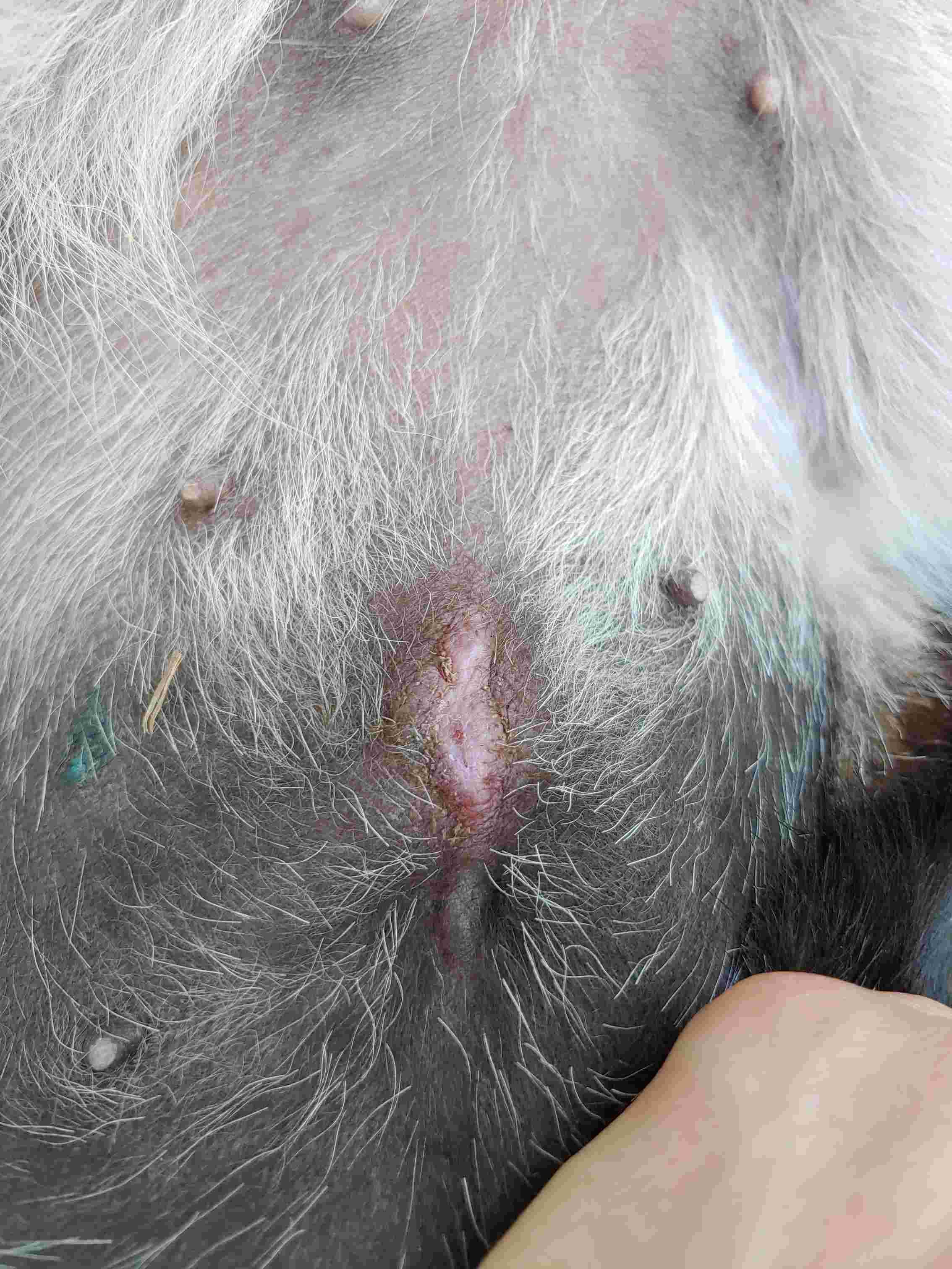 Question details sensitive content