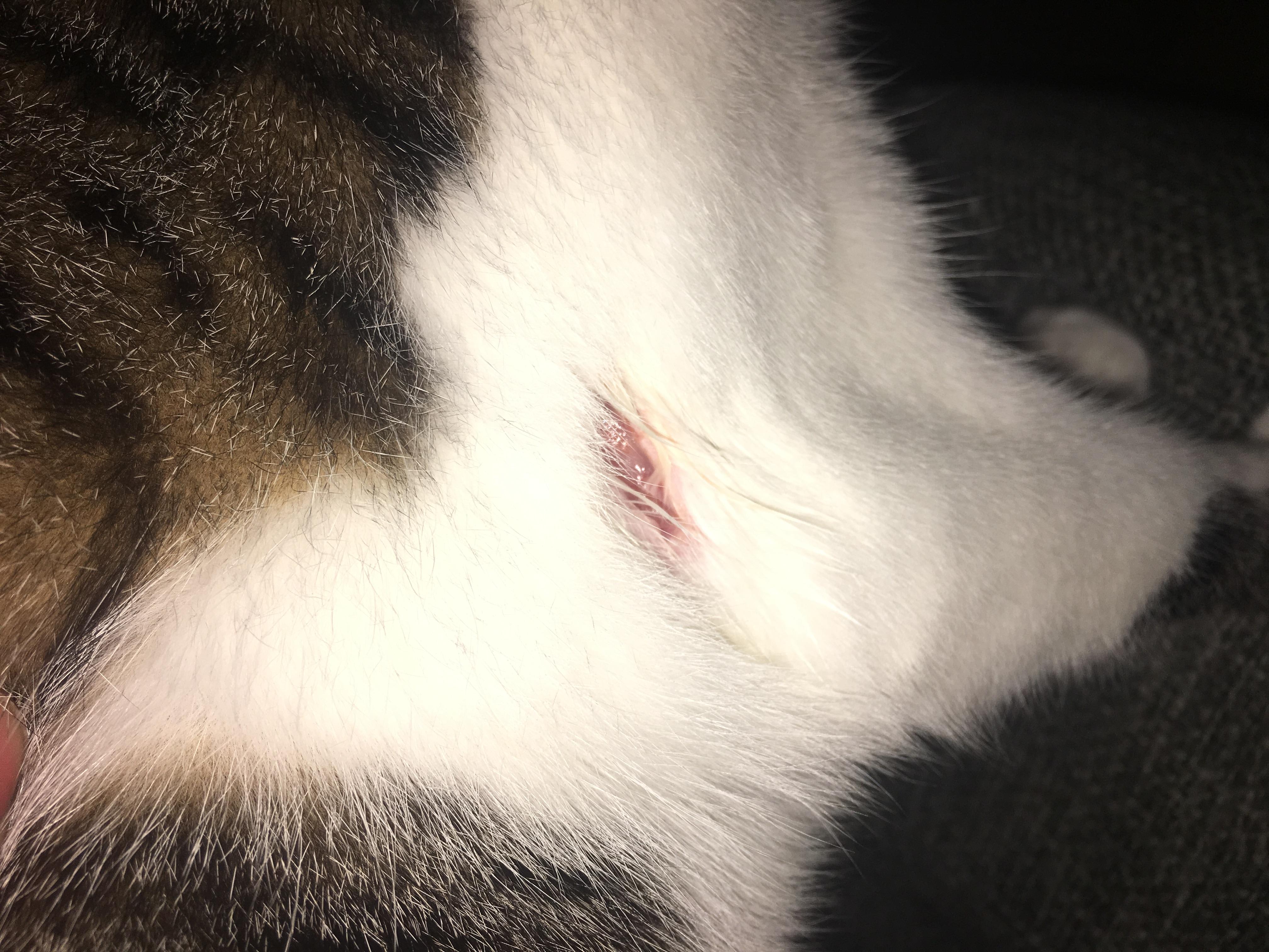 Question details sensitive content