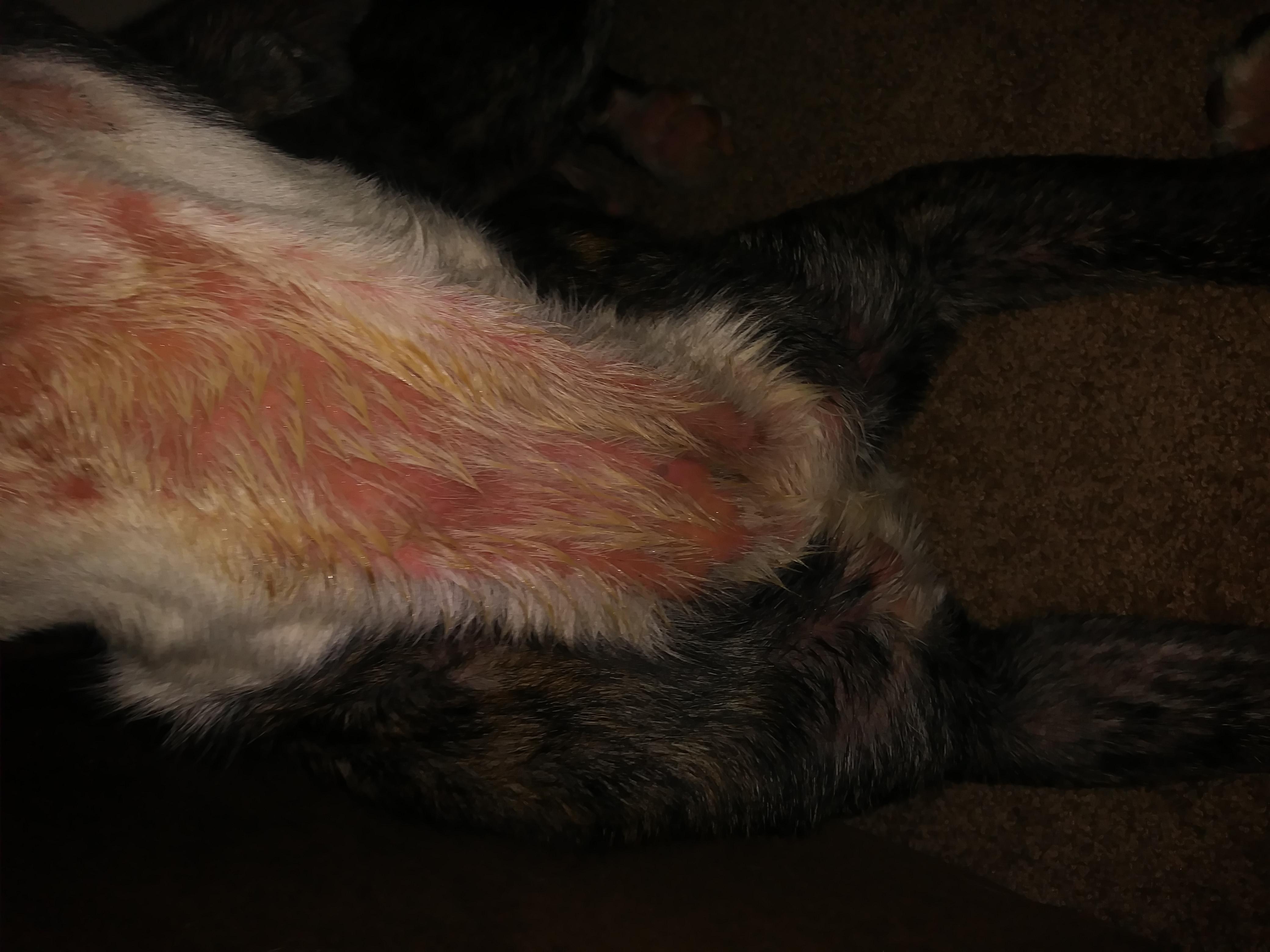 Question details sensitive content