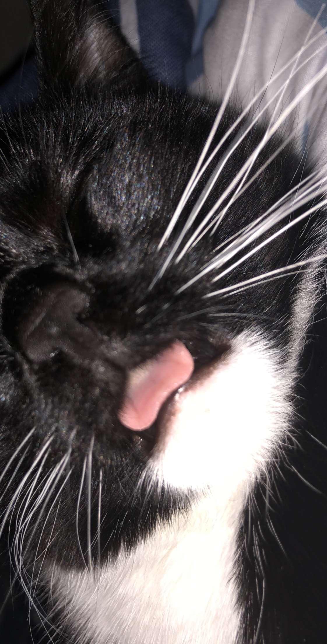 Question details sensitive content