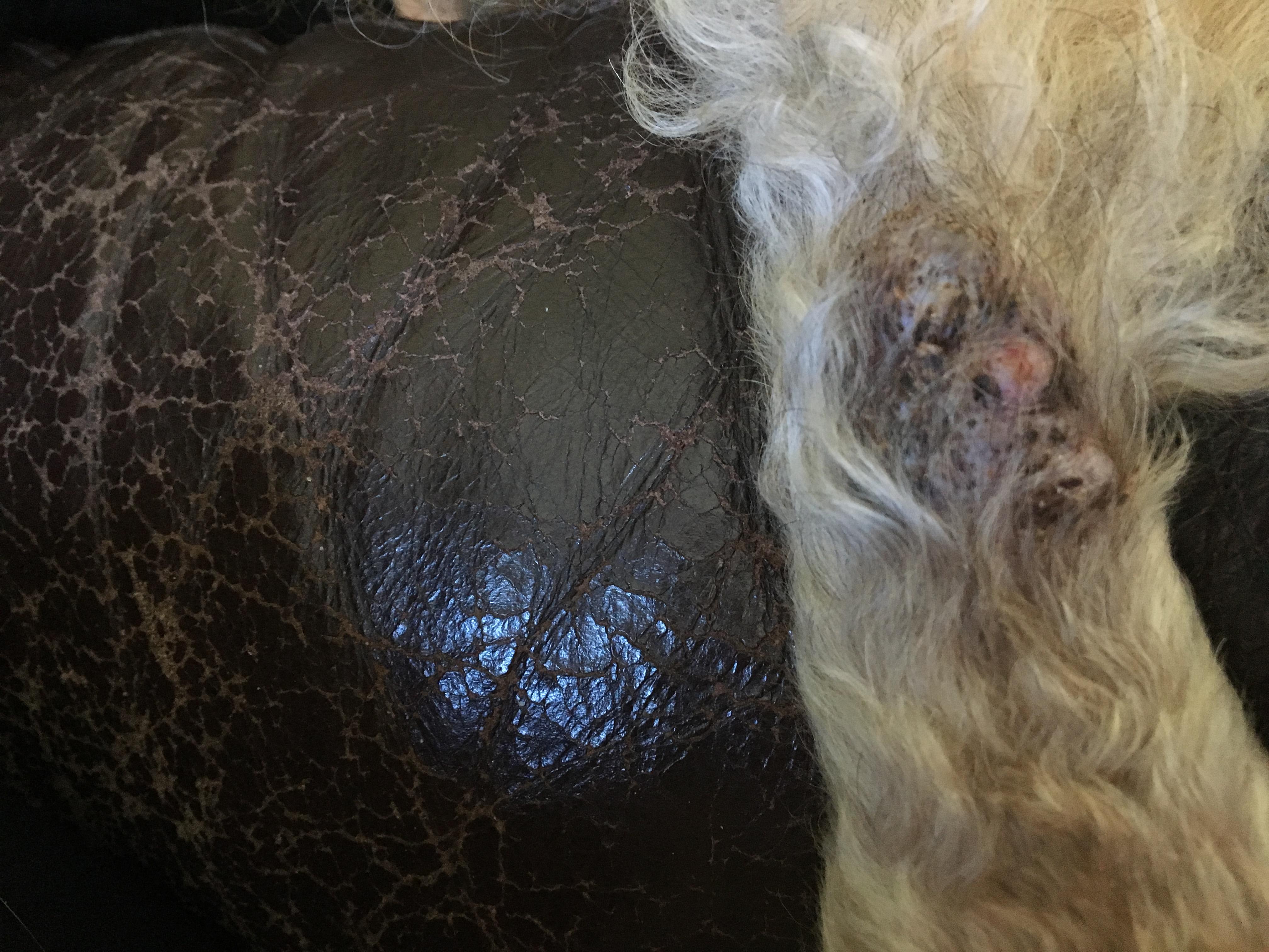 Question details sensitive content