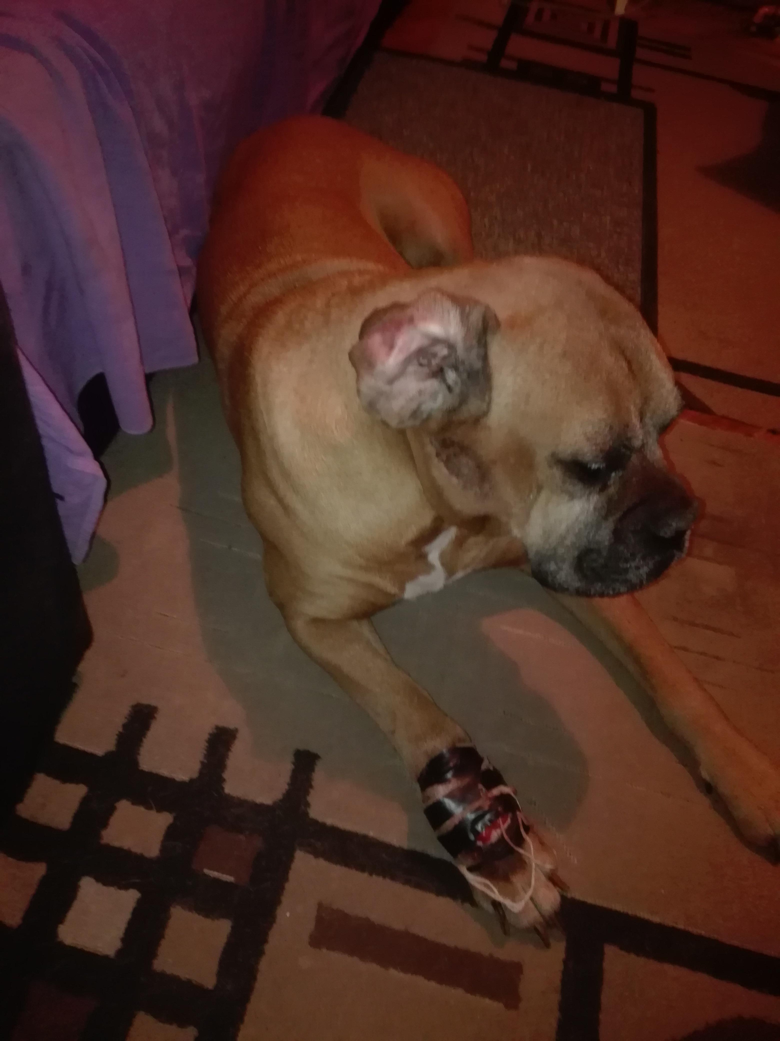 Question details sensitive content