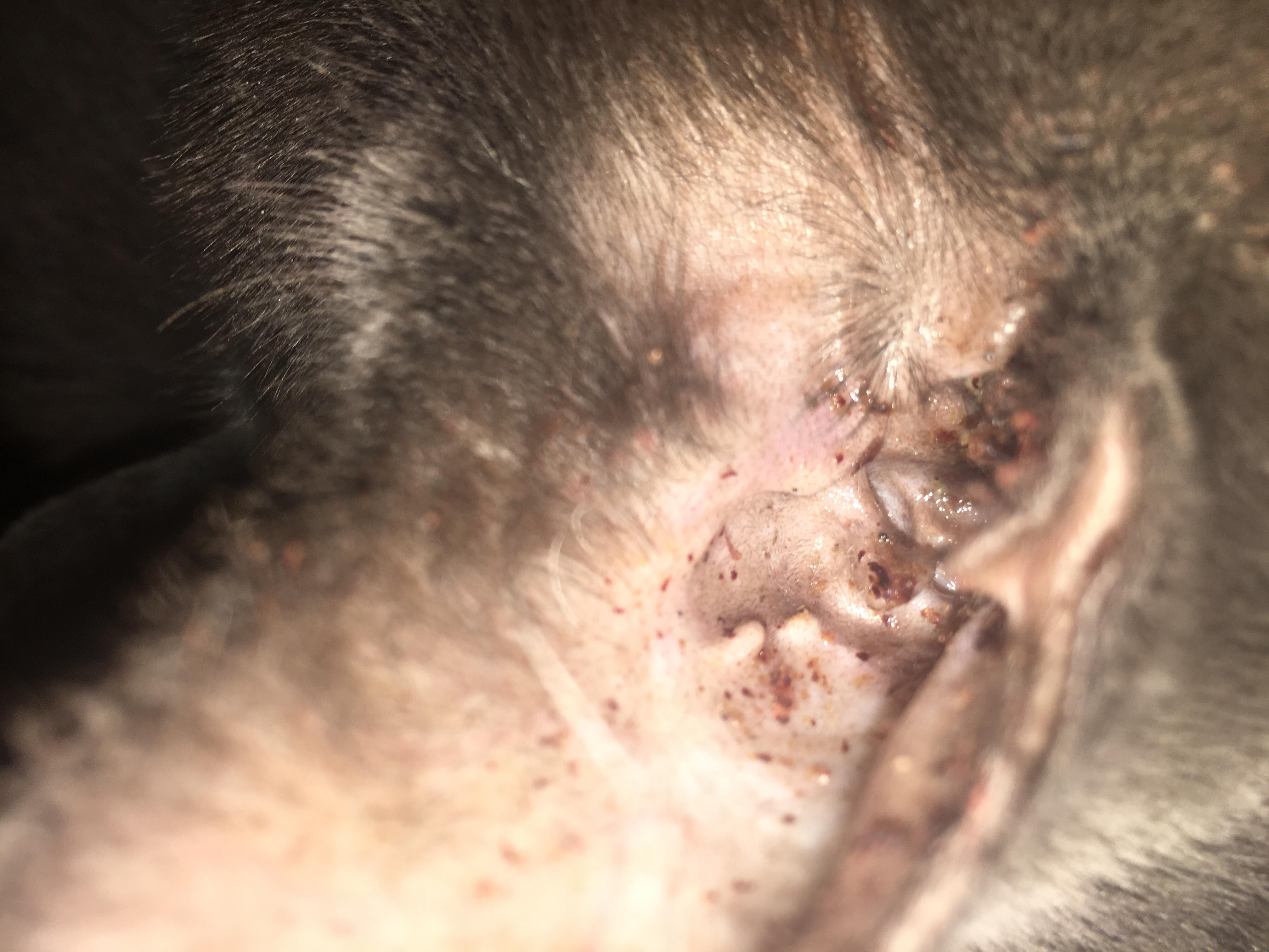 Question details sensitive content