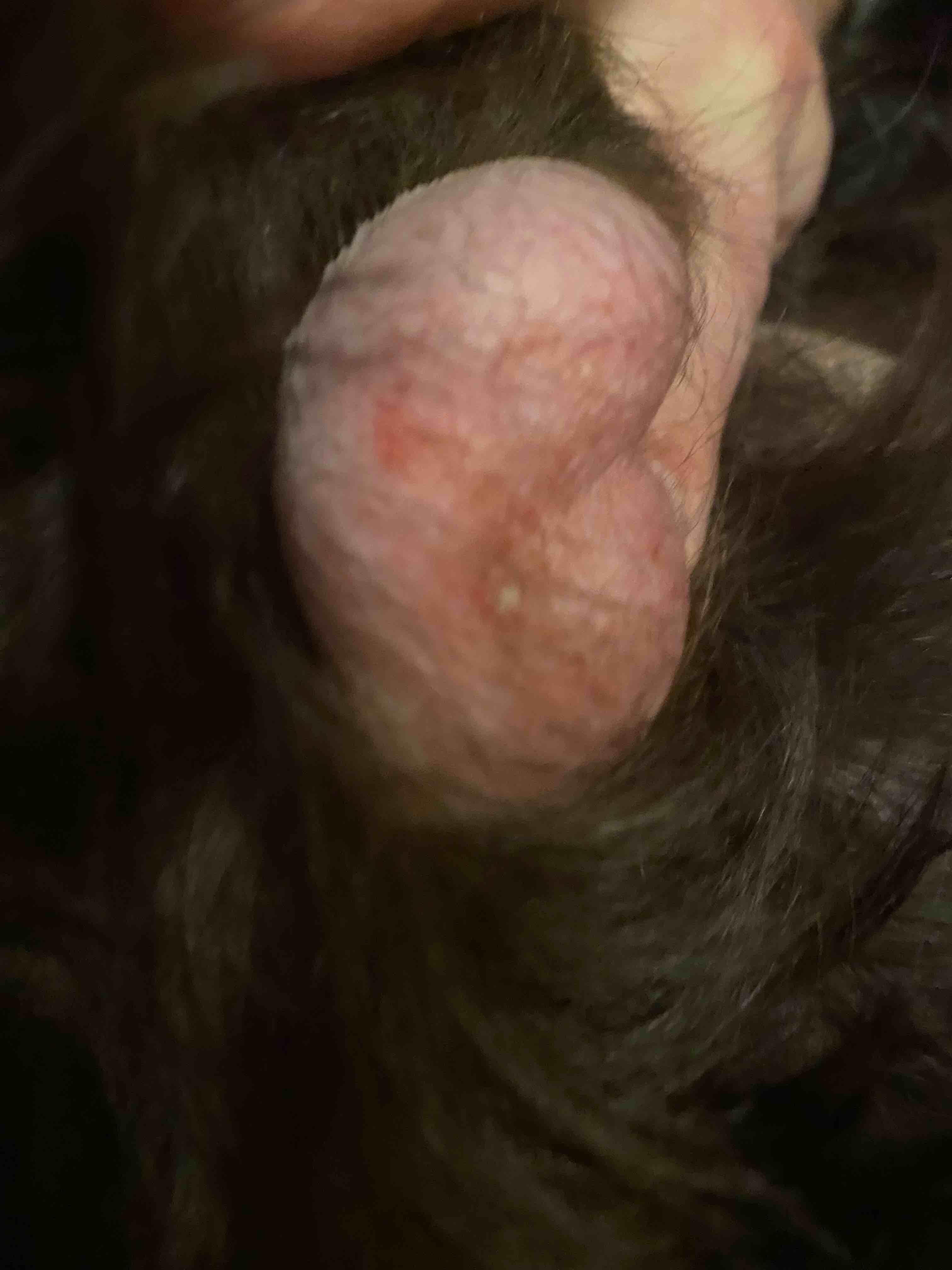 Question details sensitive content