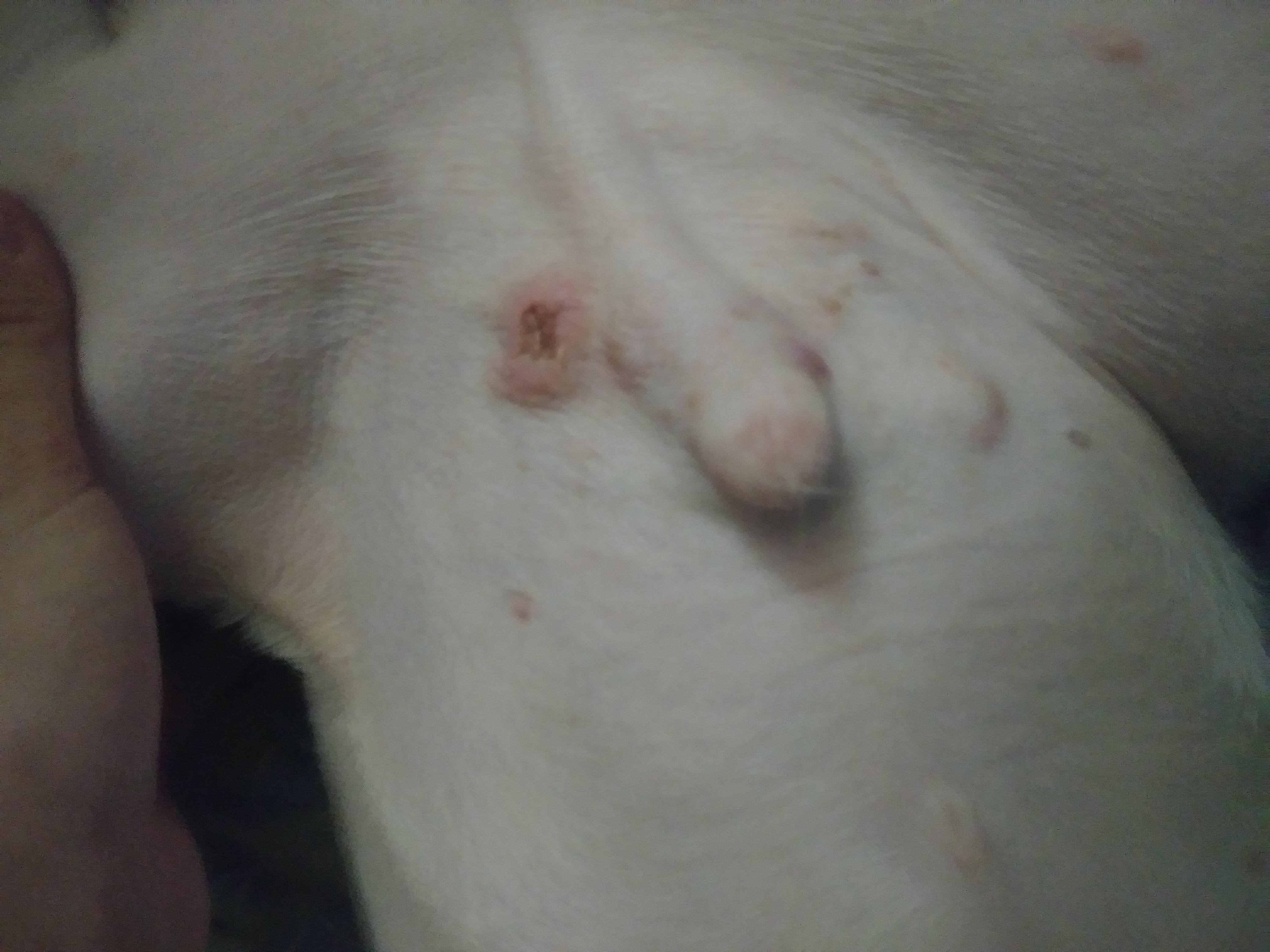 Question details sensitive content