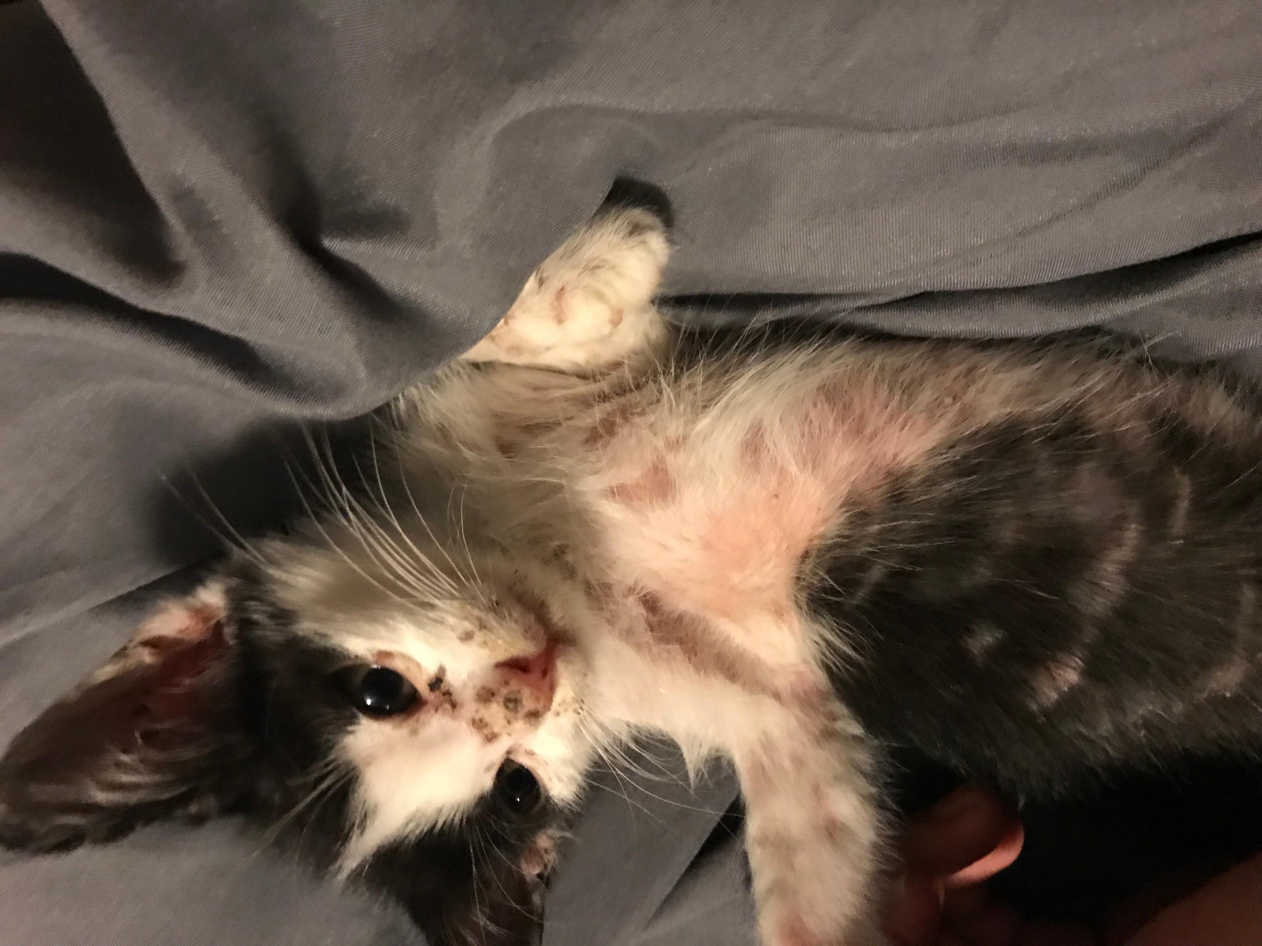 Question details sensitive content