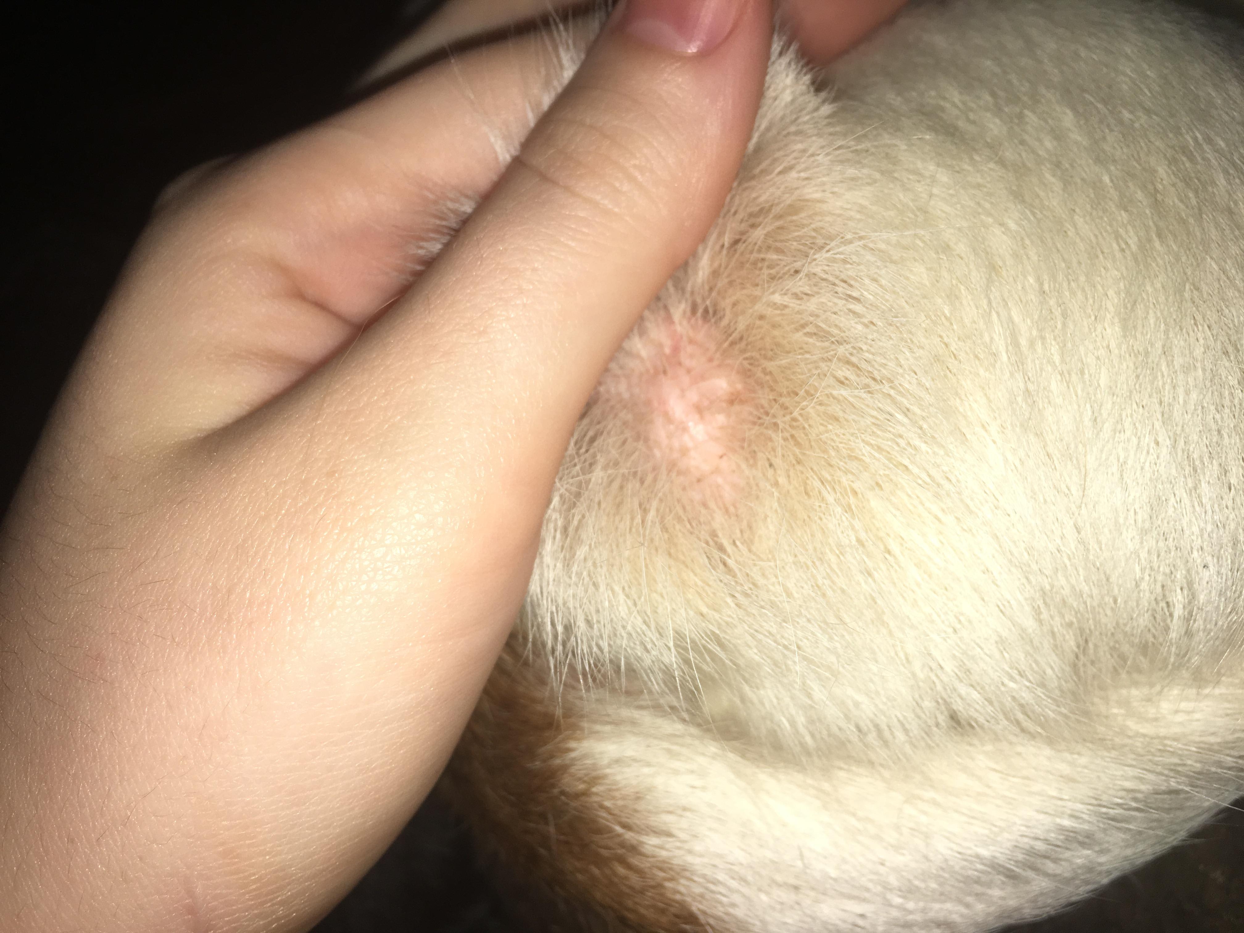 Question details sensitive content