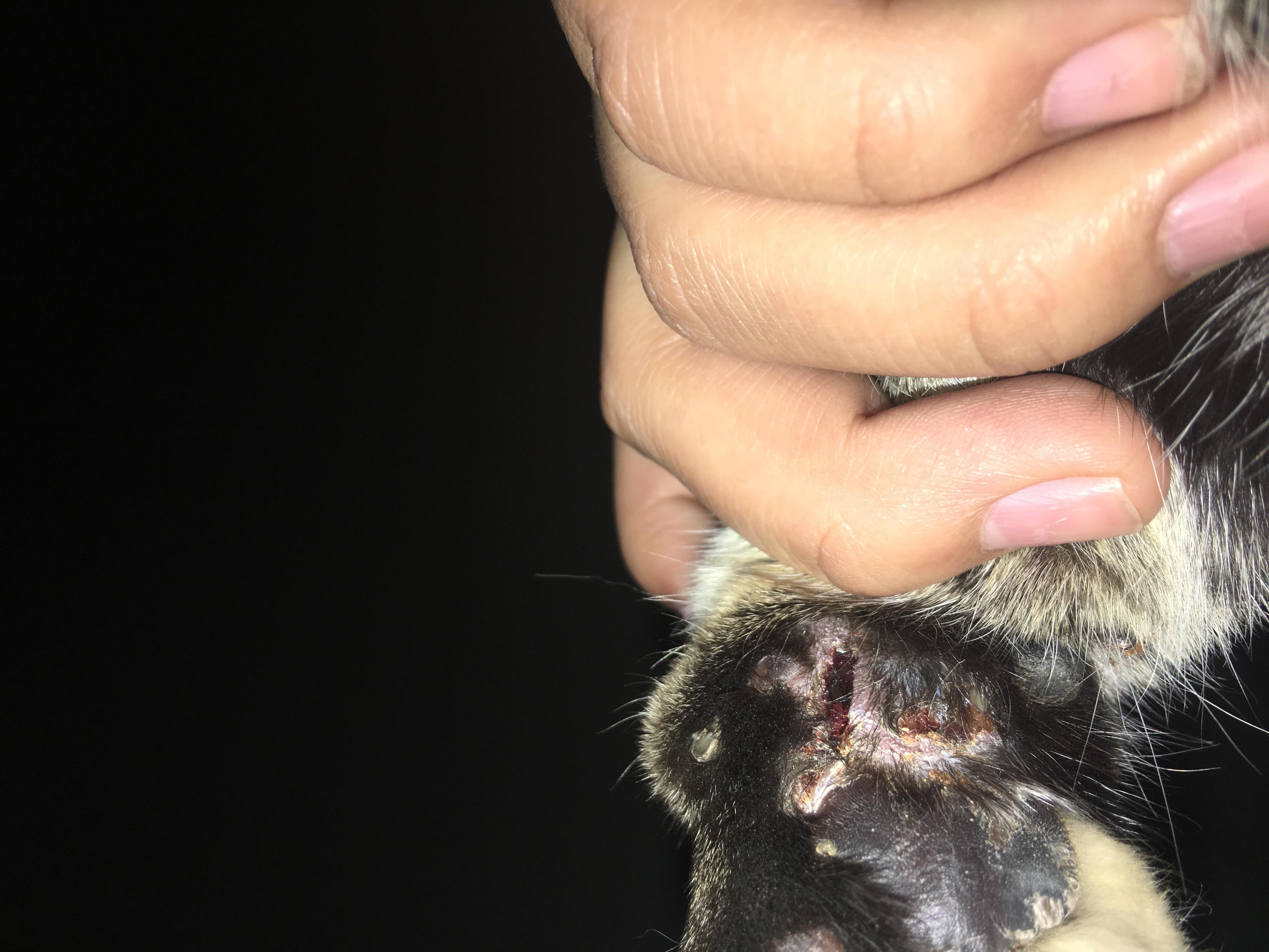 Question details sensitive content