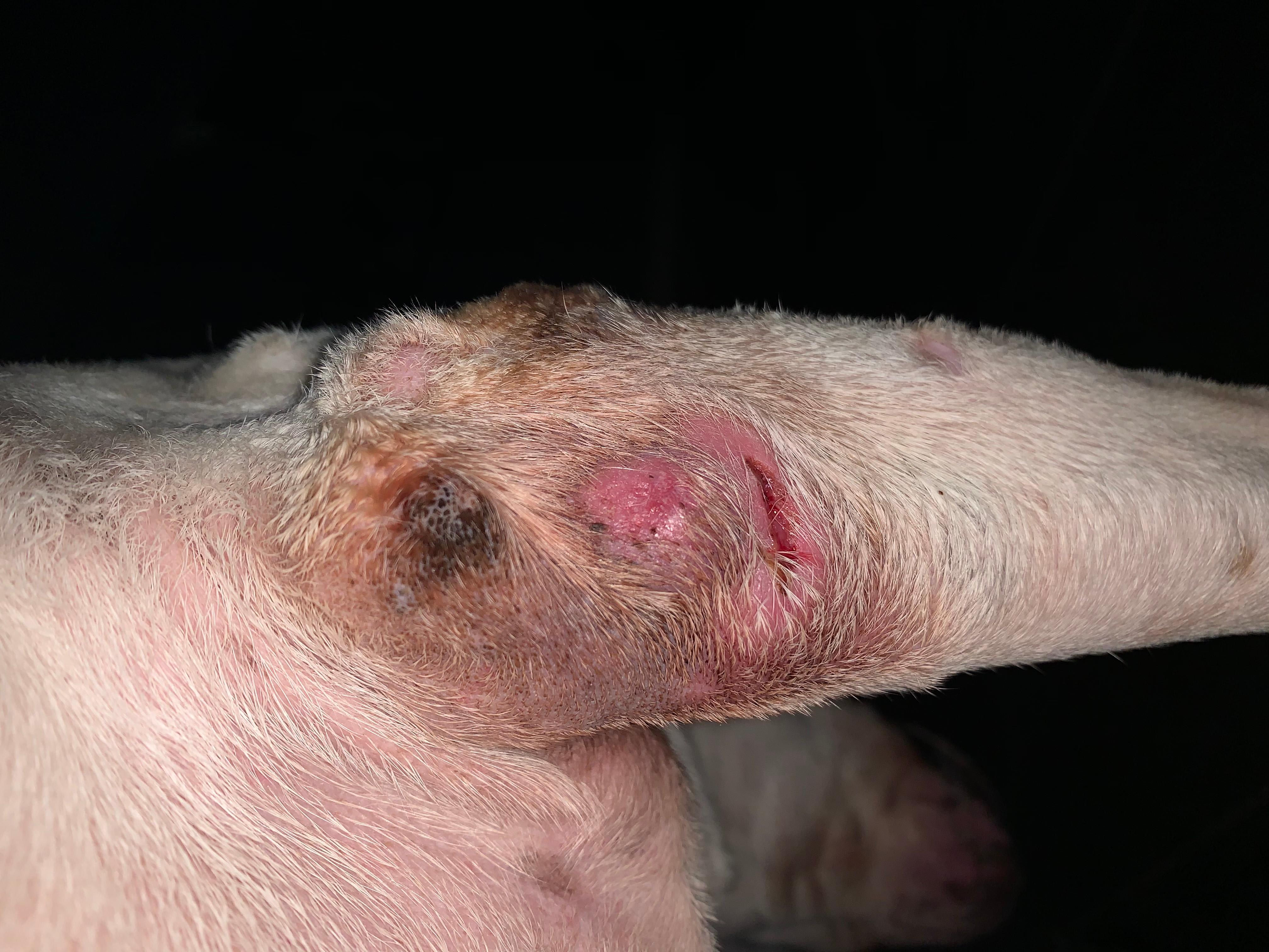 Question details sensitive content