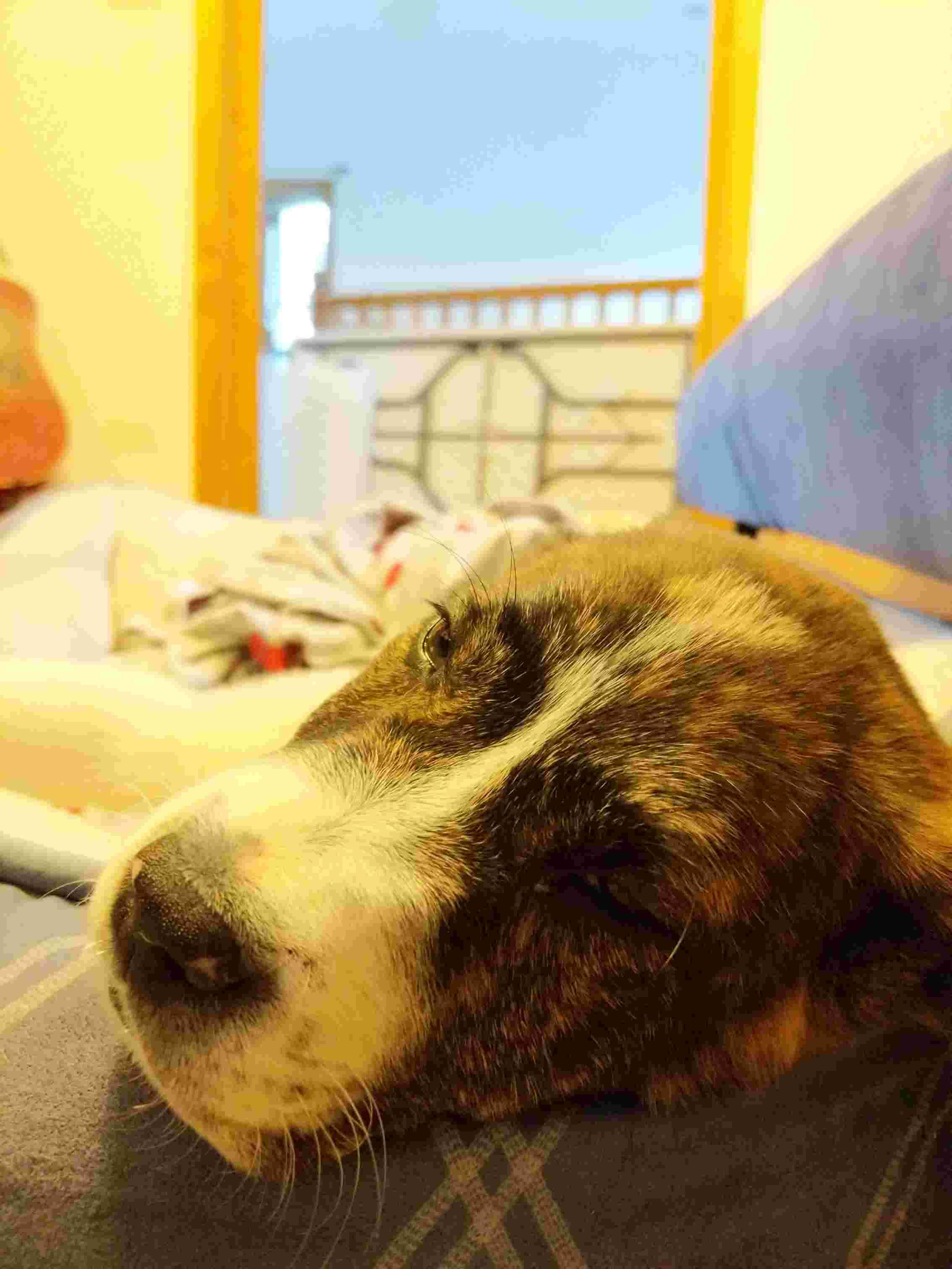 Question details sensitive content