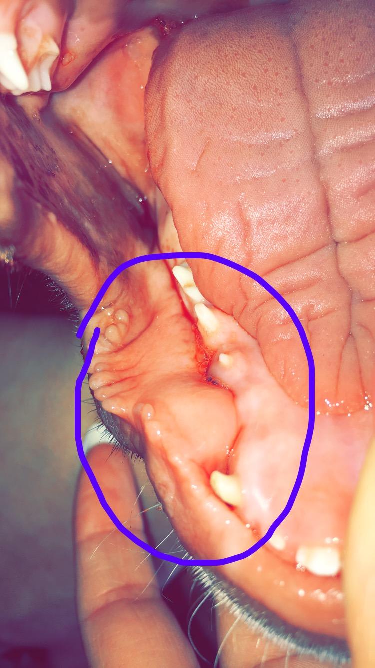 Question details sensitive content