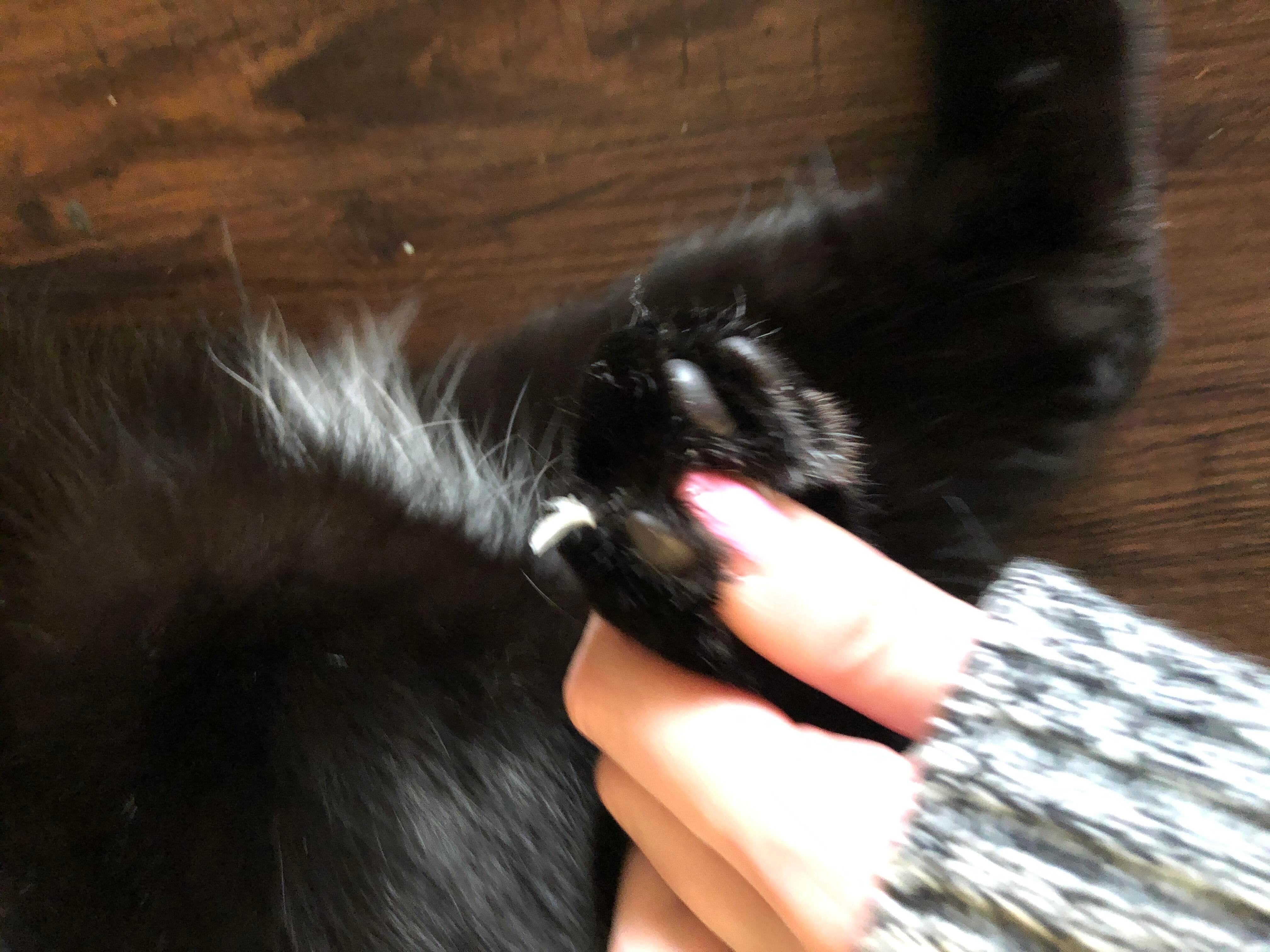 Question details sensitive content