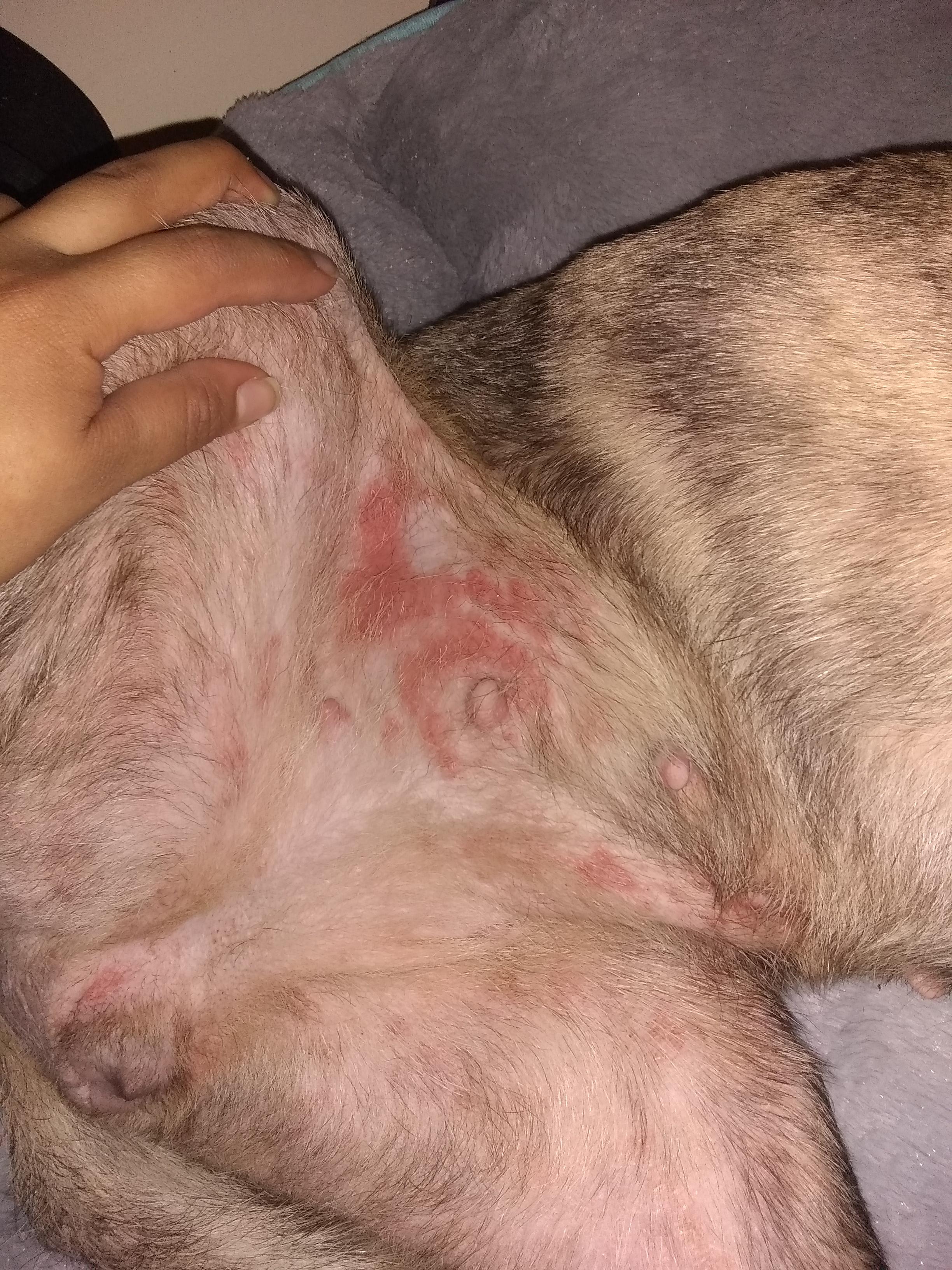 Question details sensitive content