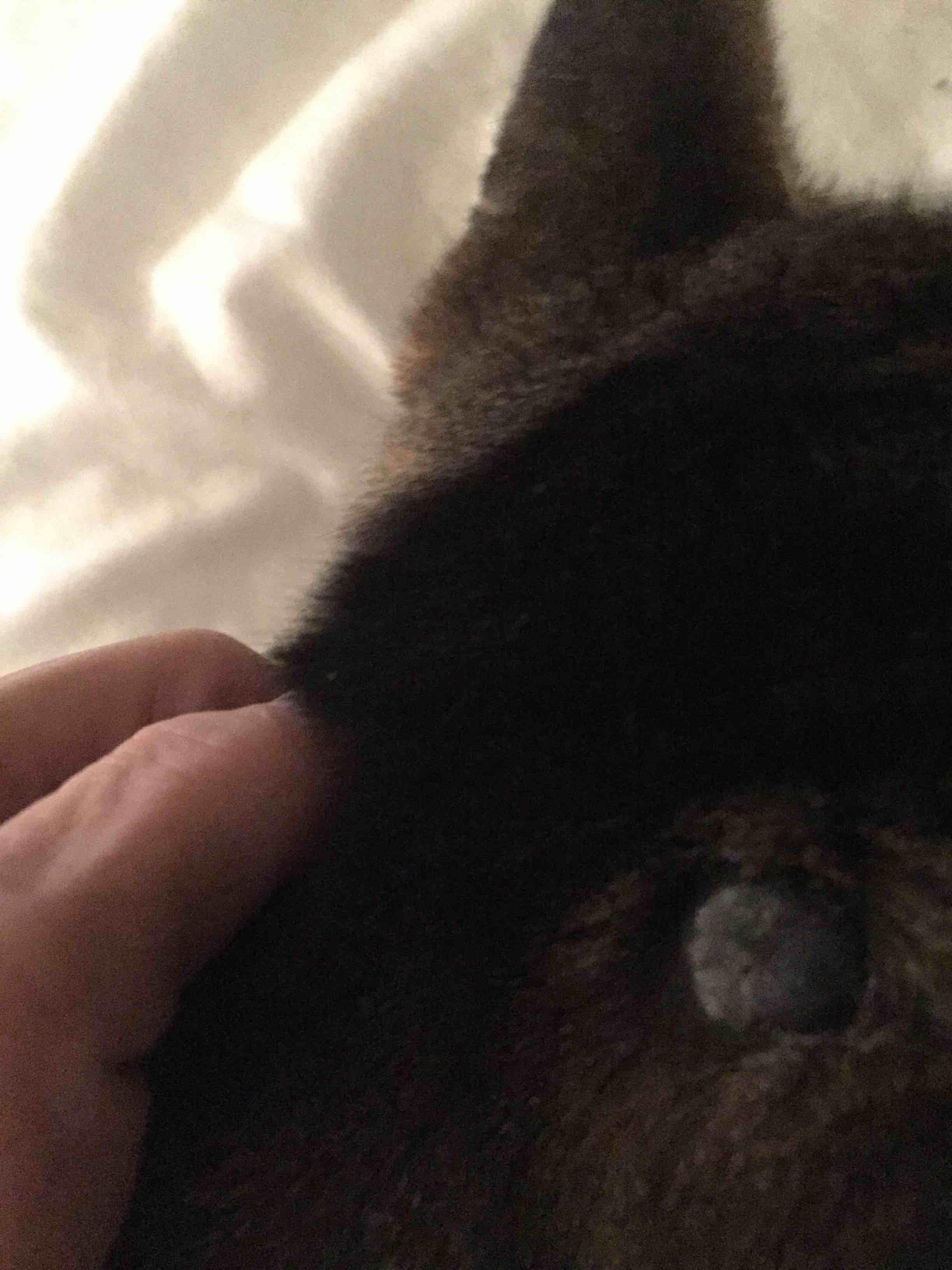 Question details sensitive content