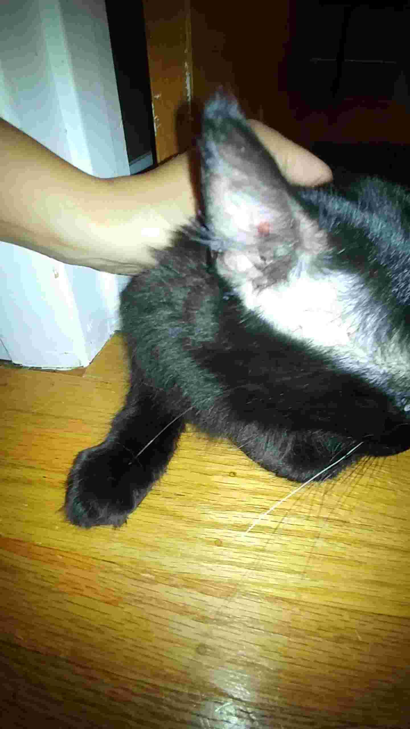 Question details sensitive content