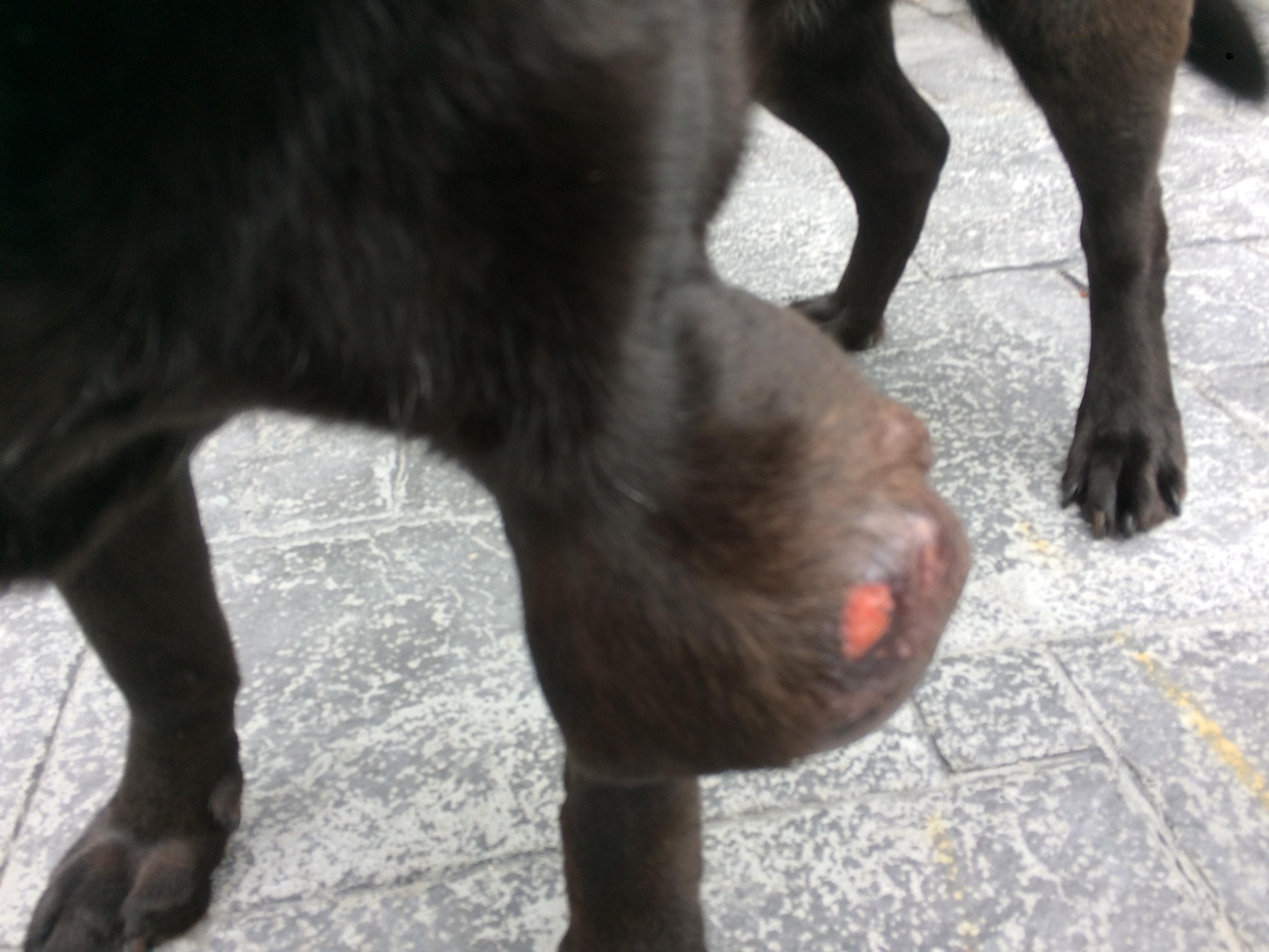 Question details sensitive content