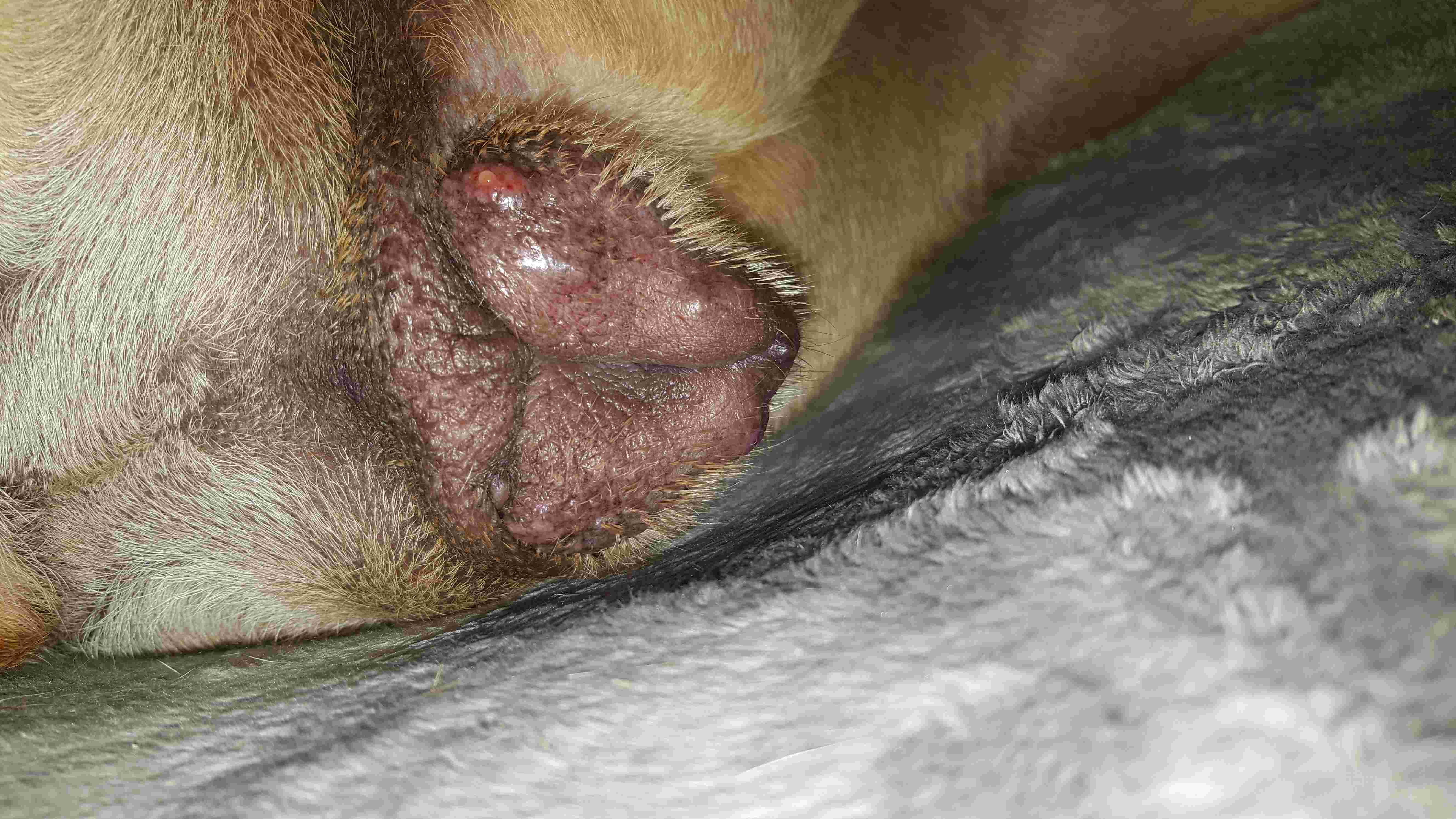 Question details sensitive content