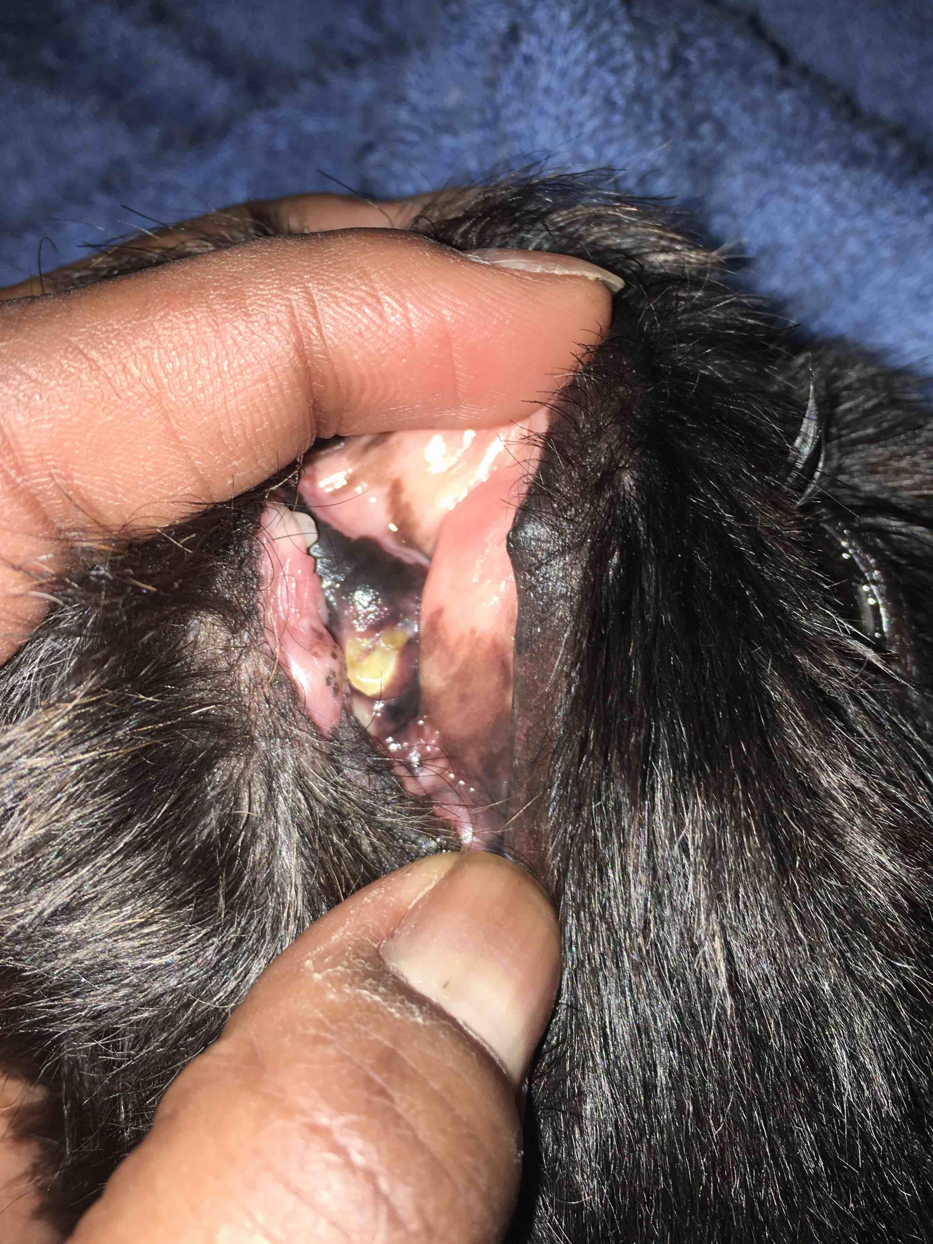 Question details sensitive content