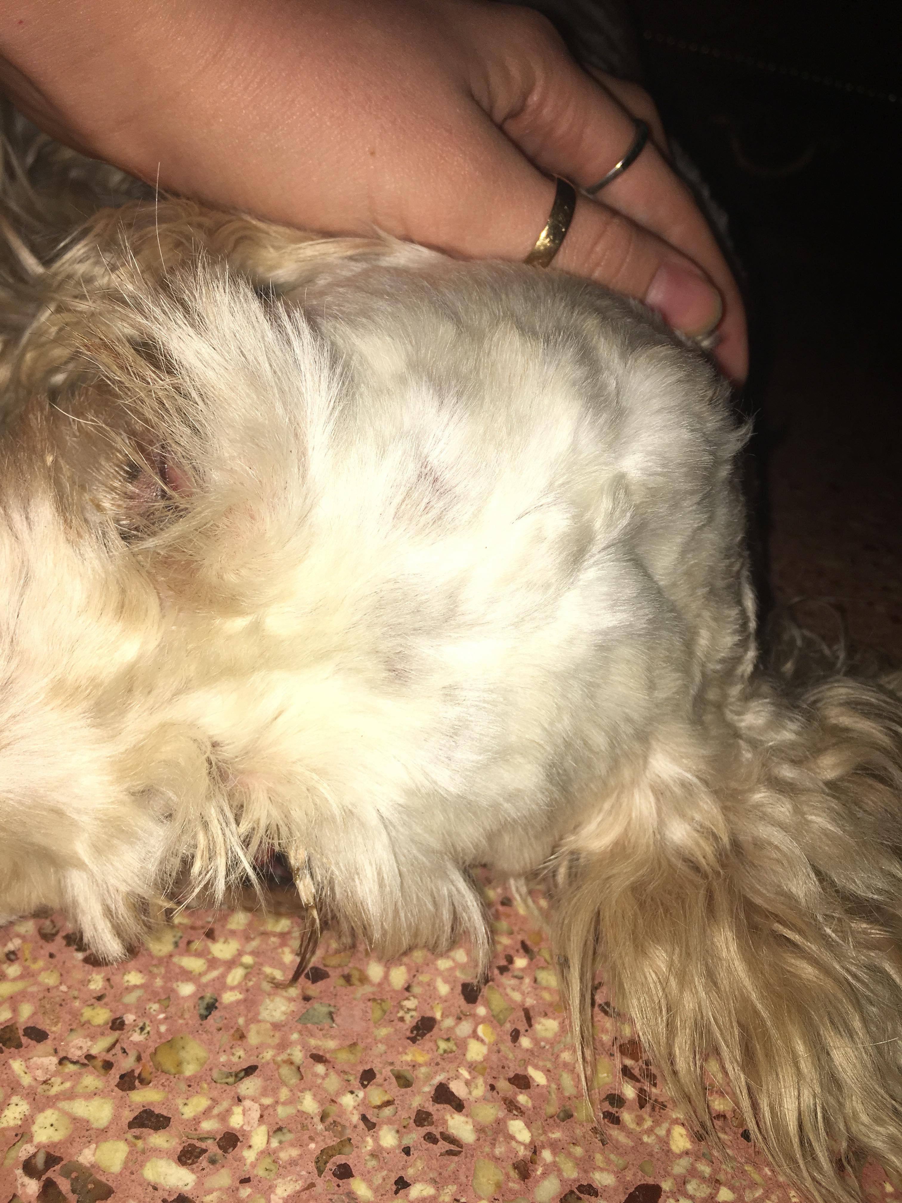 Question details sensitive content