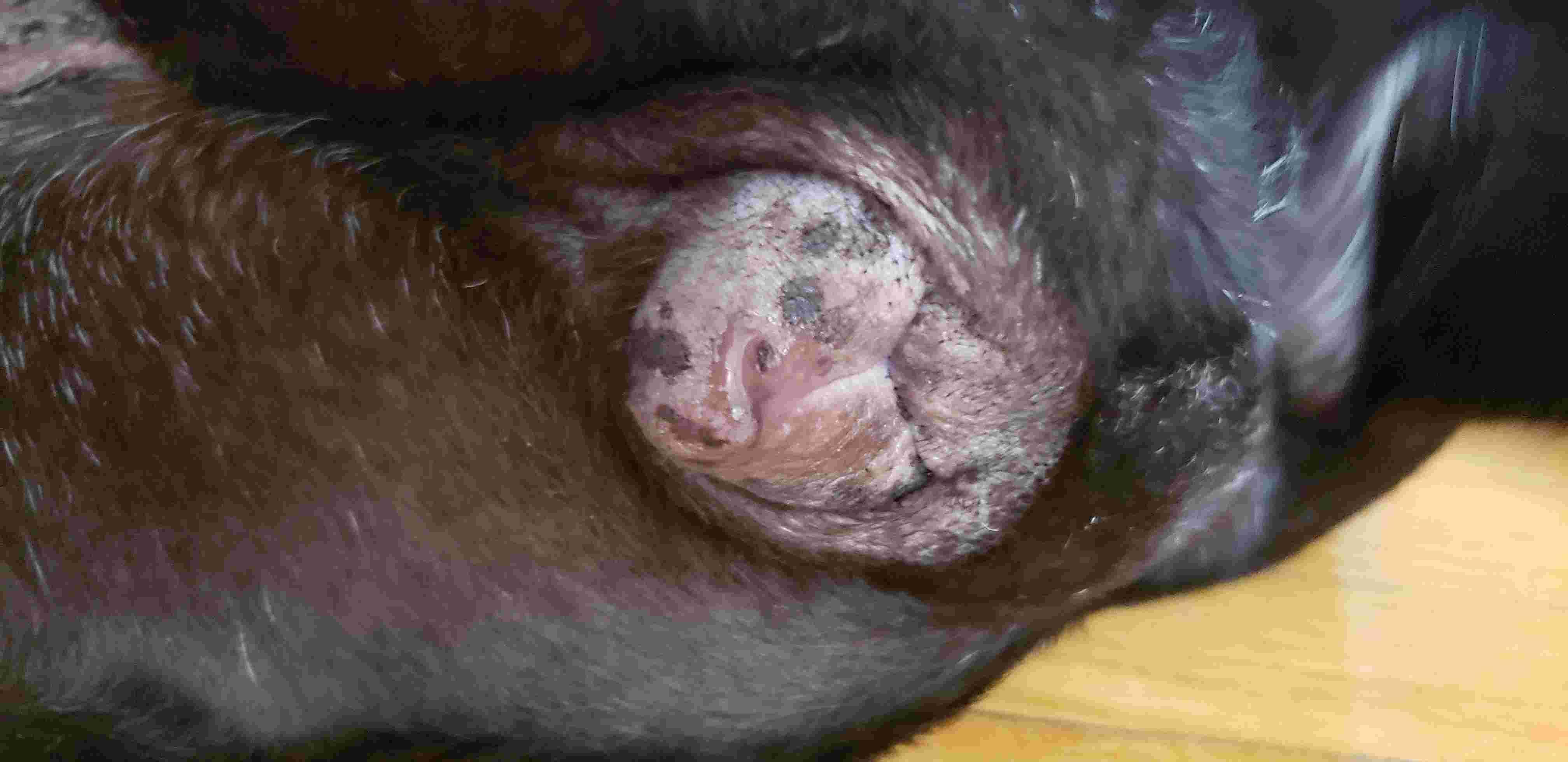 Question details sensitive content