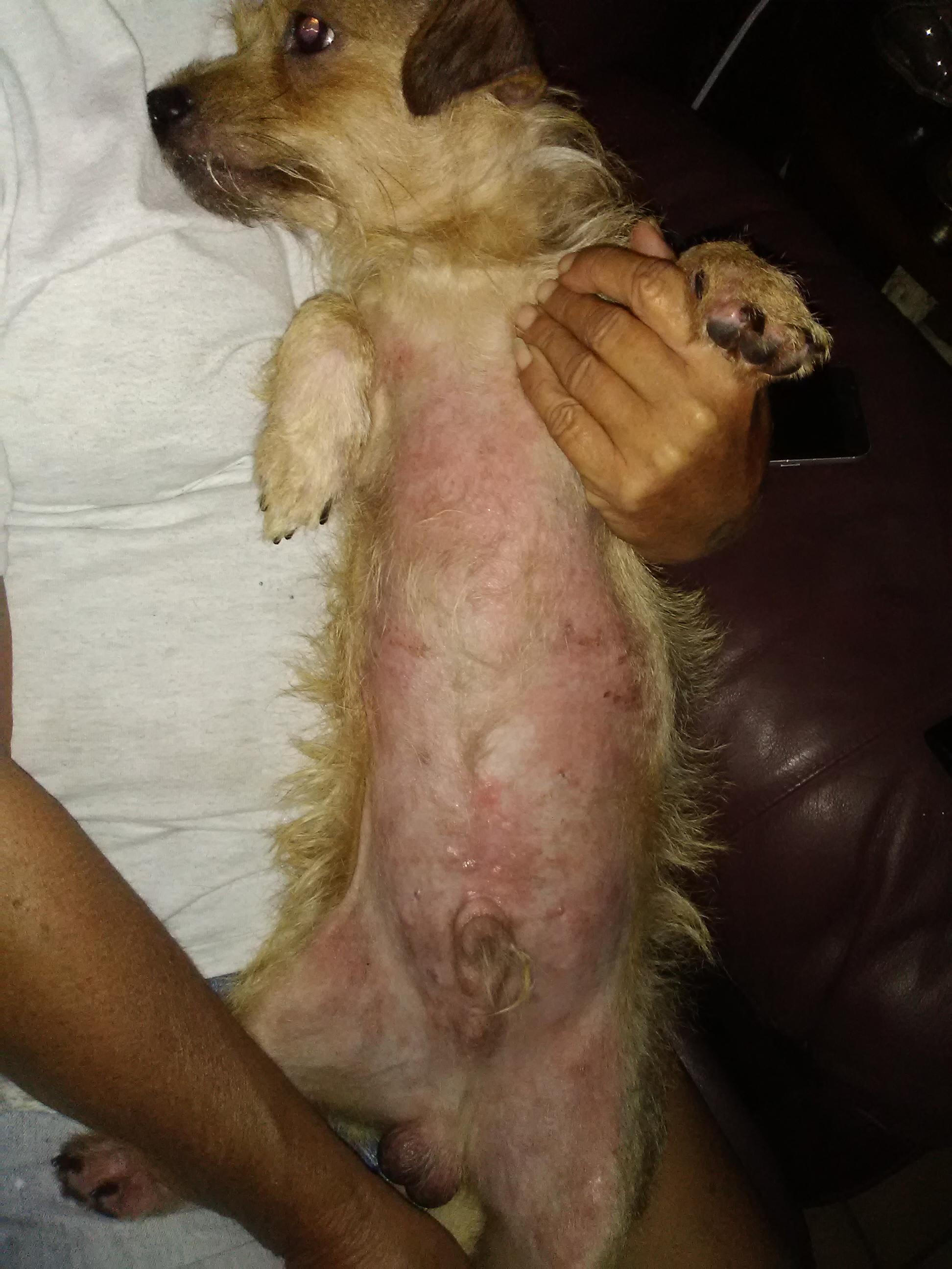 Question details sensitive content