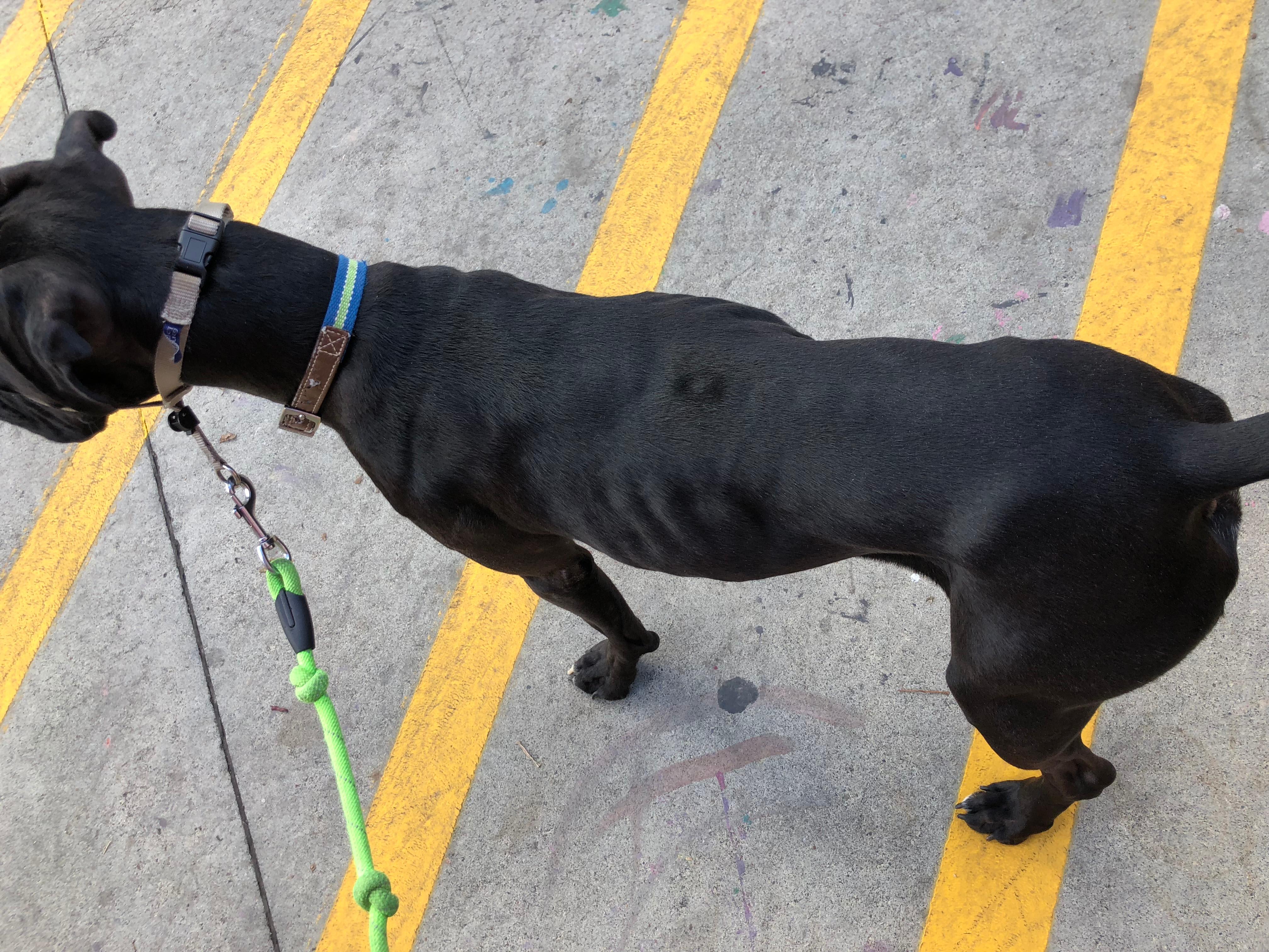 Question details sensitive content