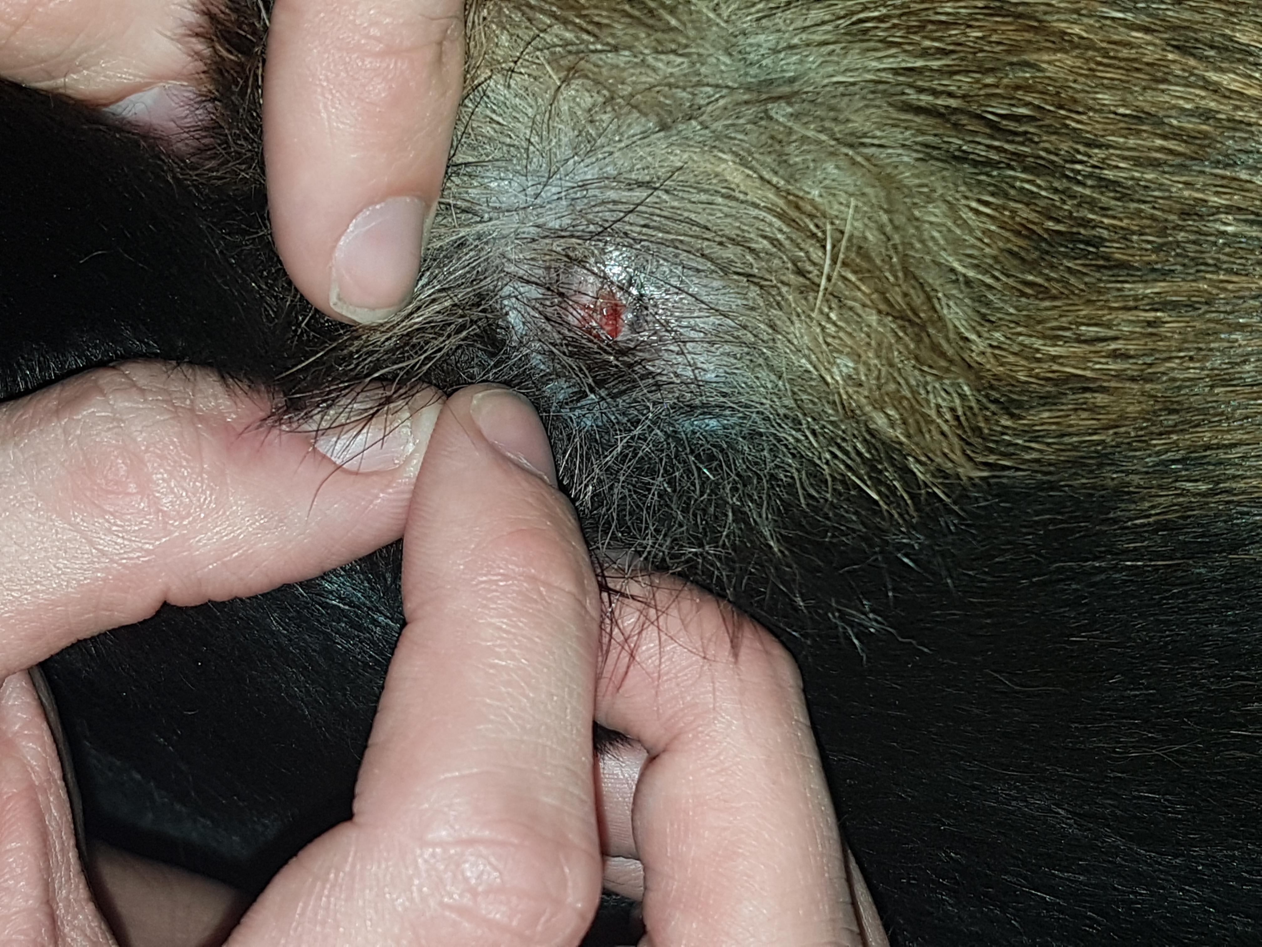 Question details sensitive content