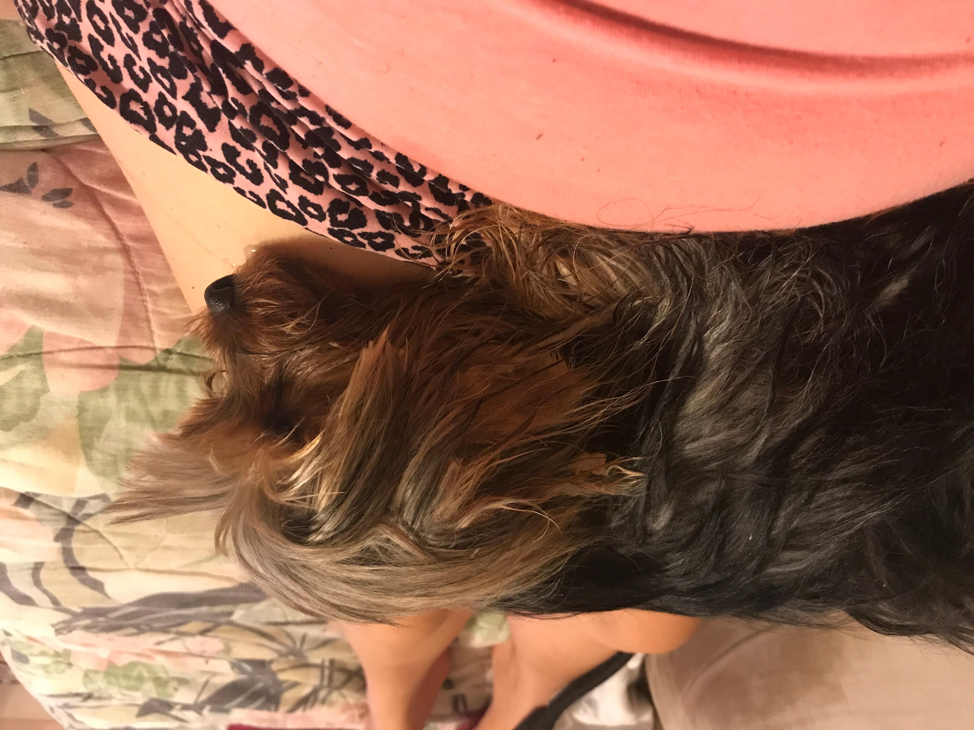 Question details sensitive content