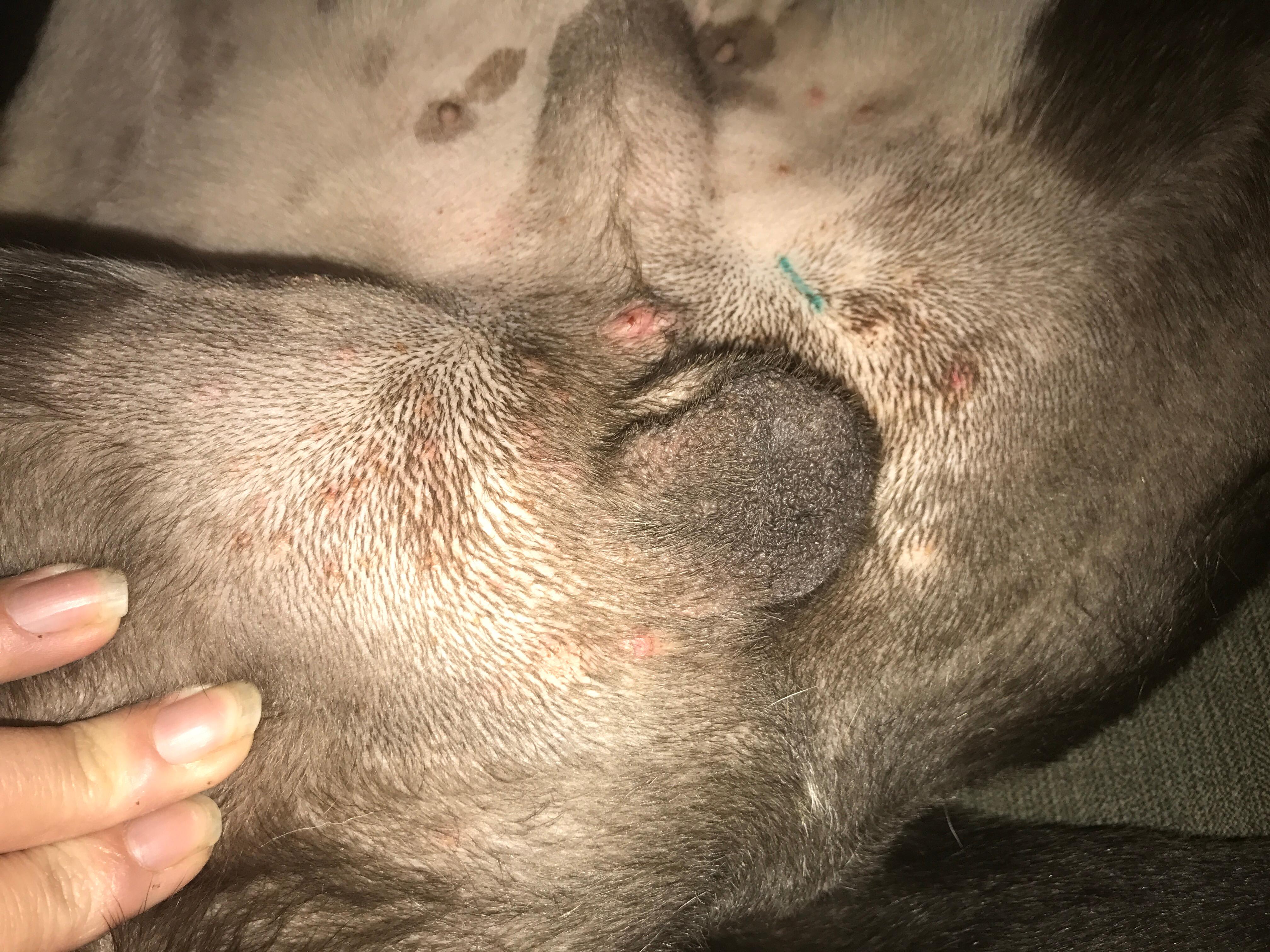 Question details sensitive content